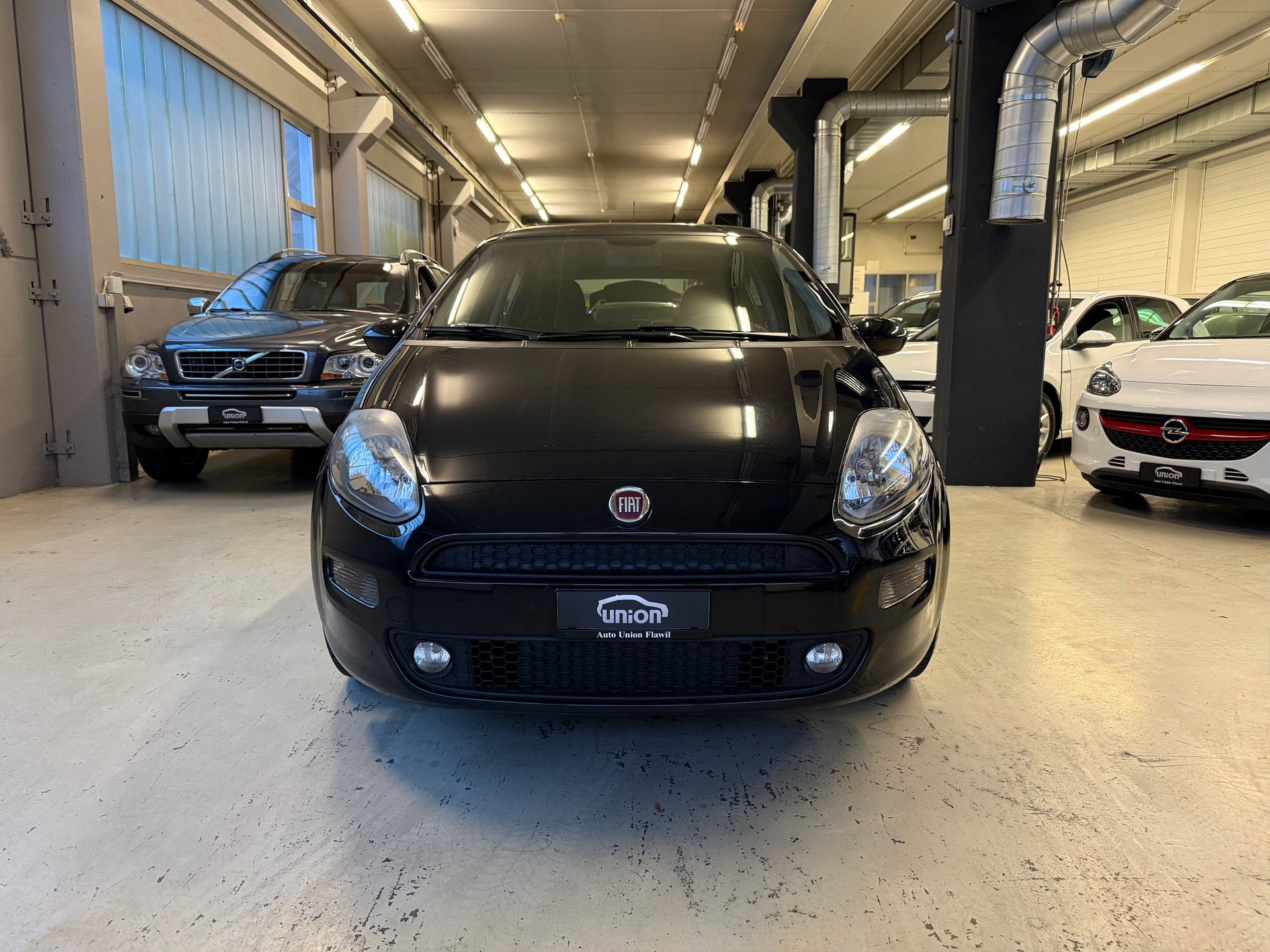 FIAT Punto 1.3 MultiJet Lounge-image-2