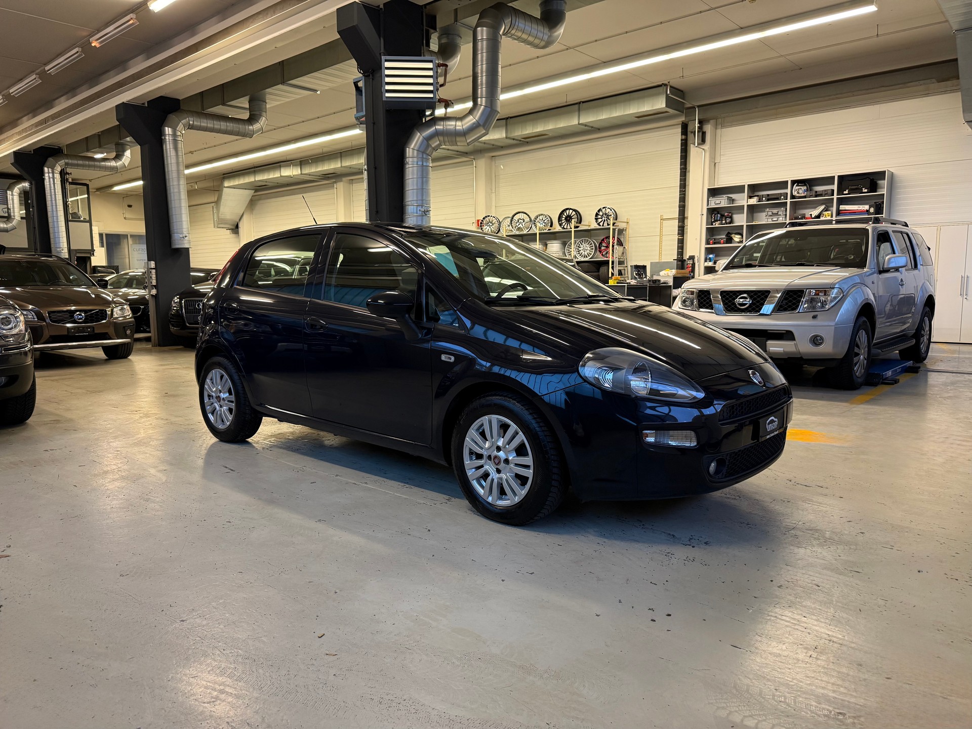FIAT Punto 1.3 MultiJet Lounge-image-1