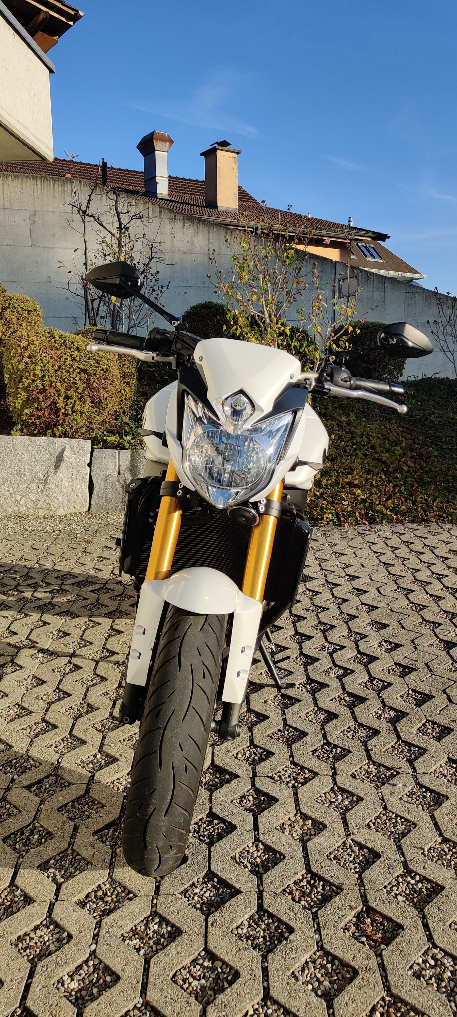 YAMAHA FZ8 N ABS-image-3