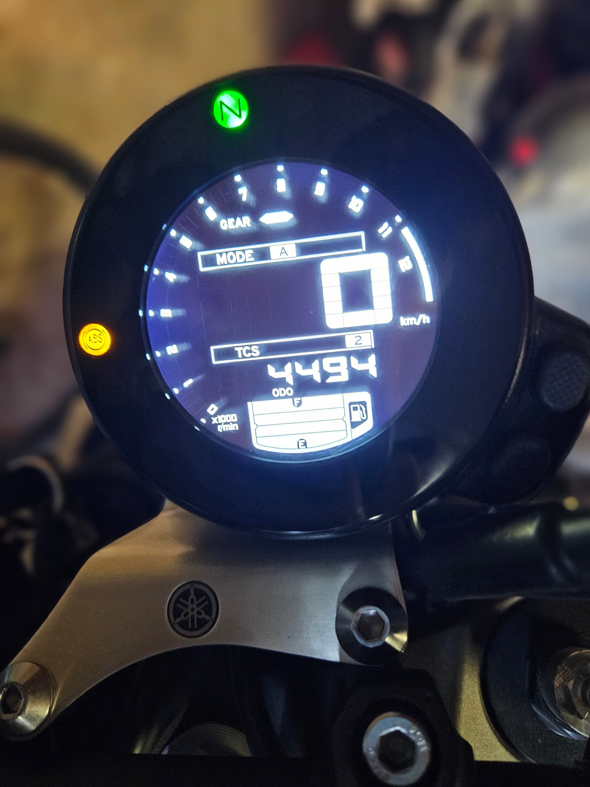 YAMAHA XSR 900-image-7