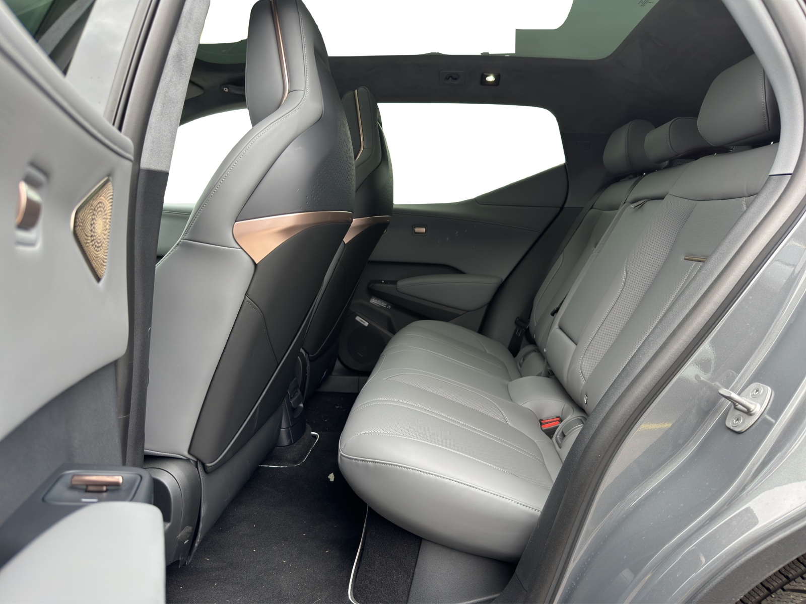 ZEEKR X Privilege AWD-showroom-element-3