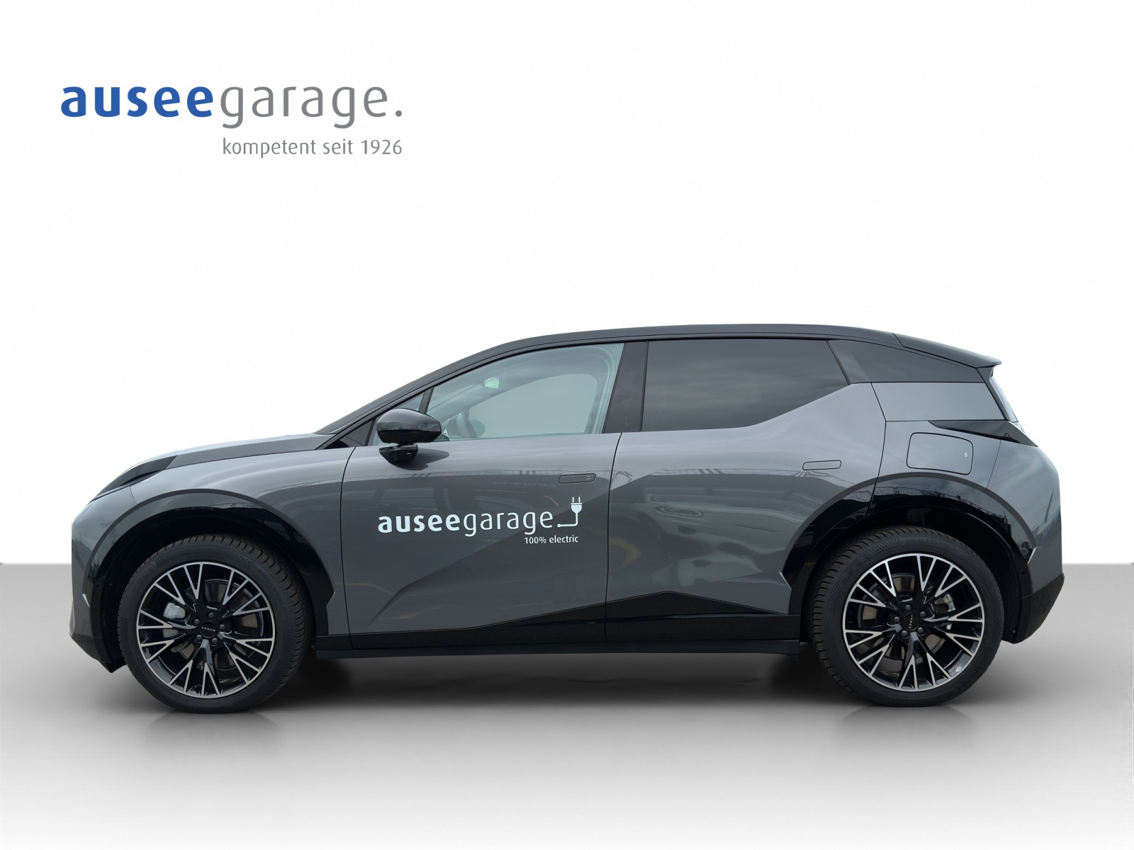 ZEEKR X Privilege AWD-showroom-element-2