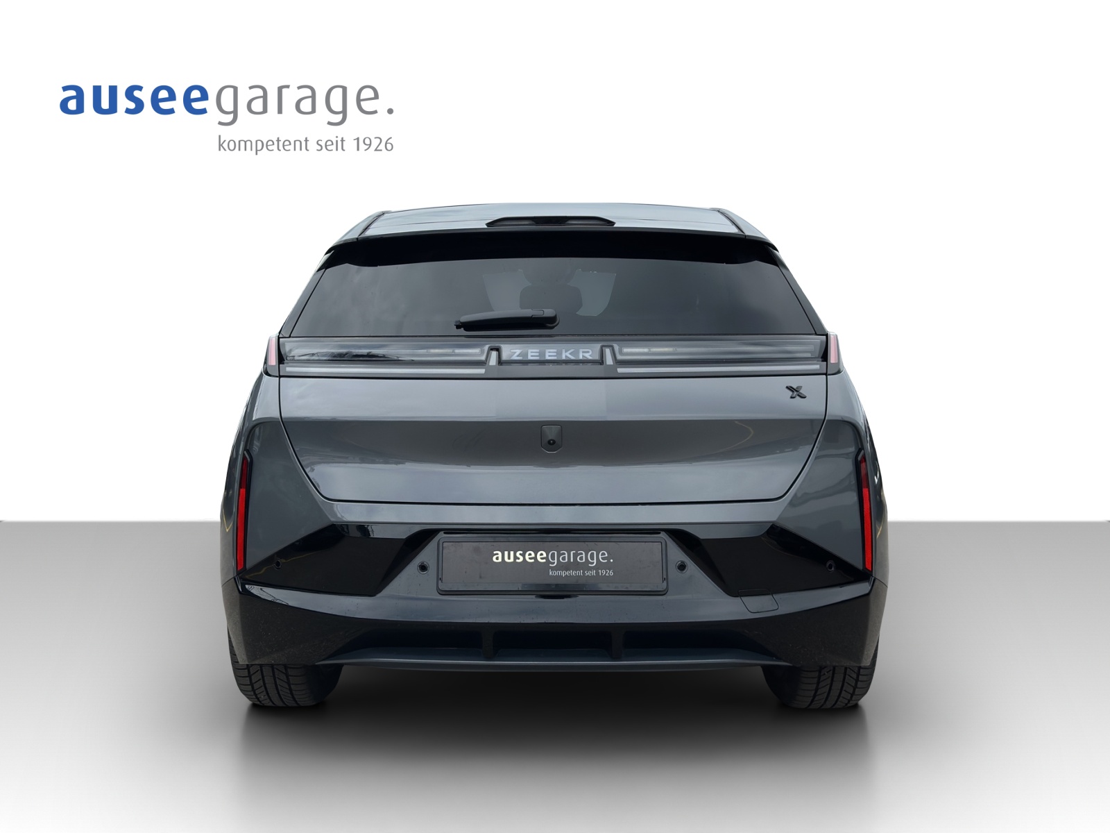 ZEEKR X Privilege AWD-showroom-element-1