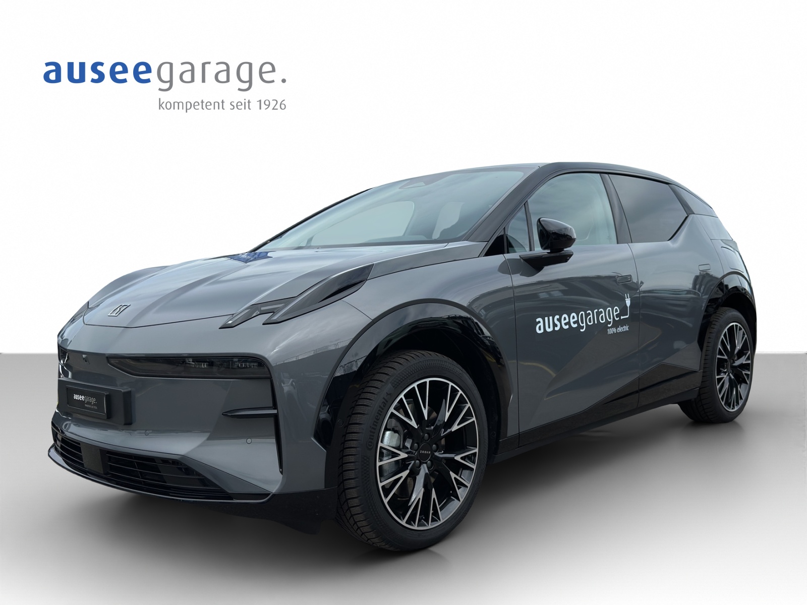 ZEEKR X Privilege AWD