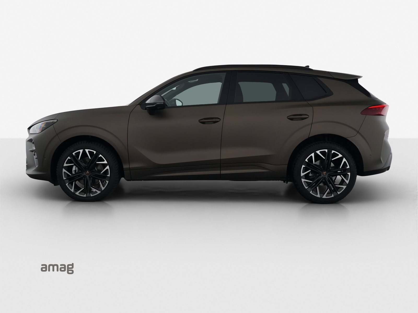 CUPRA Terramar 2.0 TSI DSG 4Drive-showroom-element-1