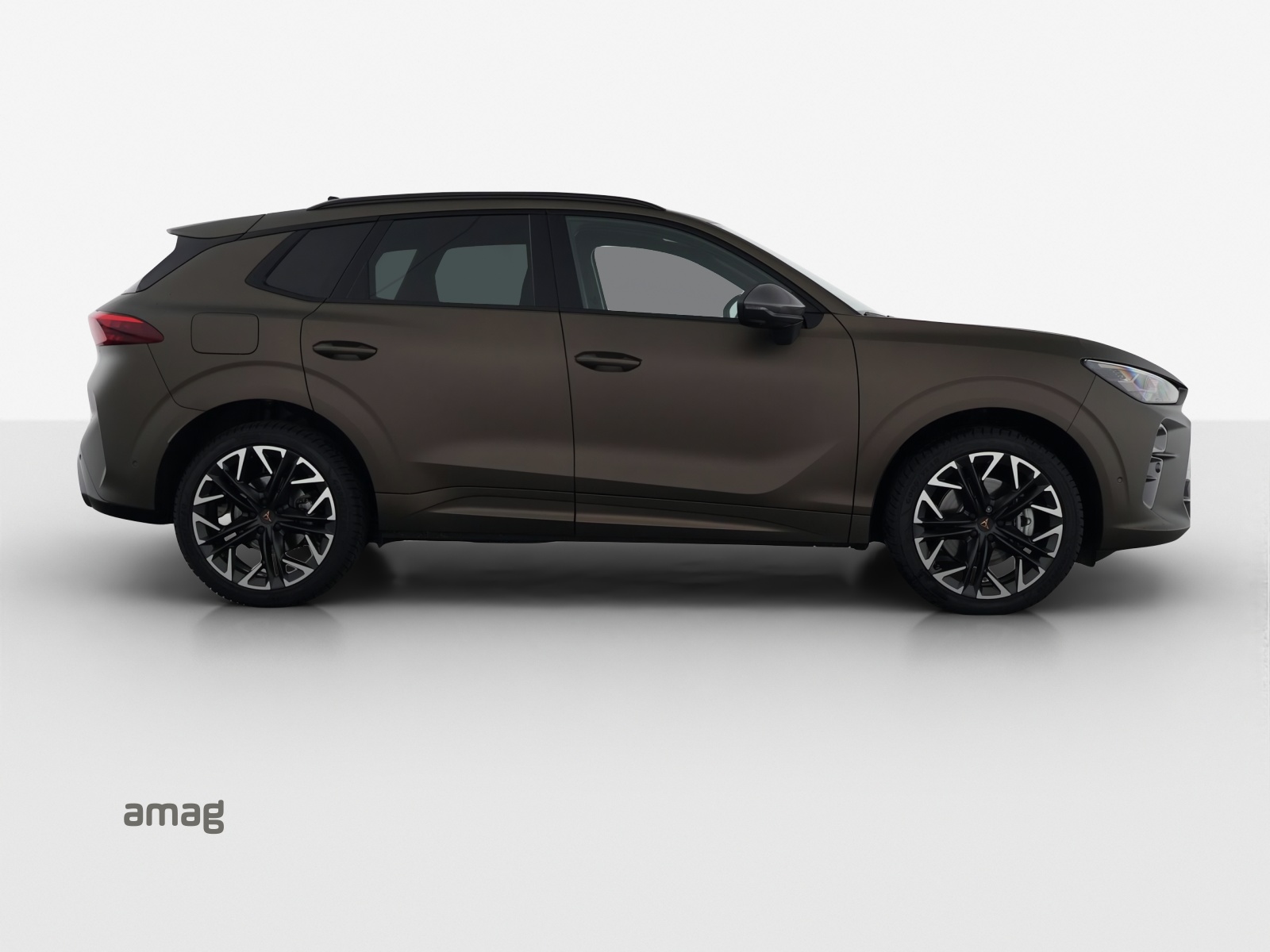 CUPRA Terramar 2.0 TSI DSG 4Drive-image-4