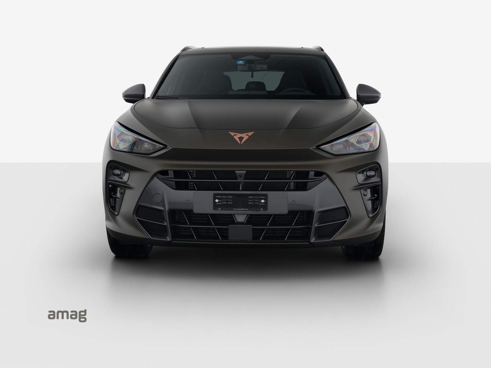 CUPRA Terramar 2.0 TSI DSG 4Drive-image-6