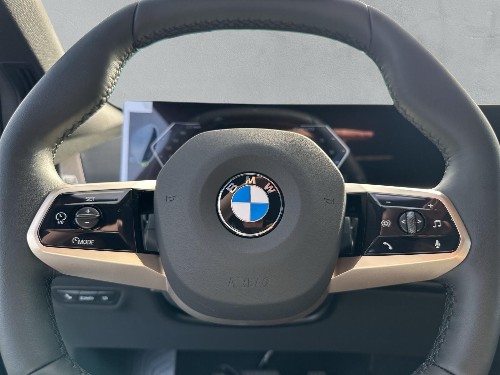 BMW iX xDrive60 i20 (CH) AHK-image-18