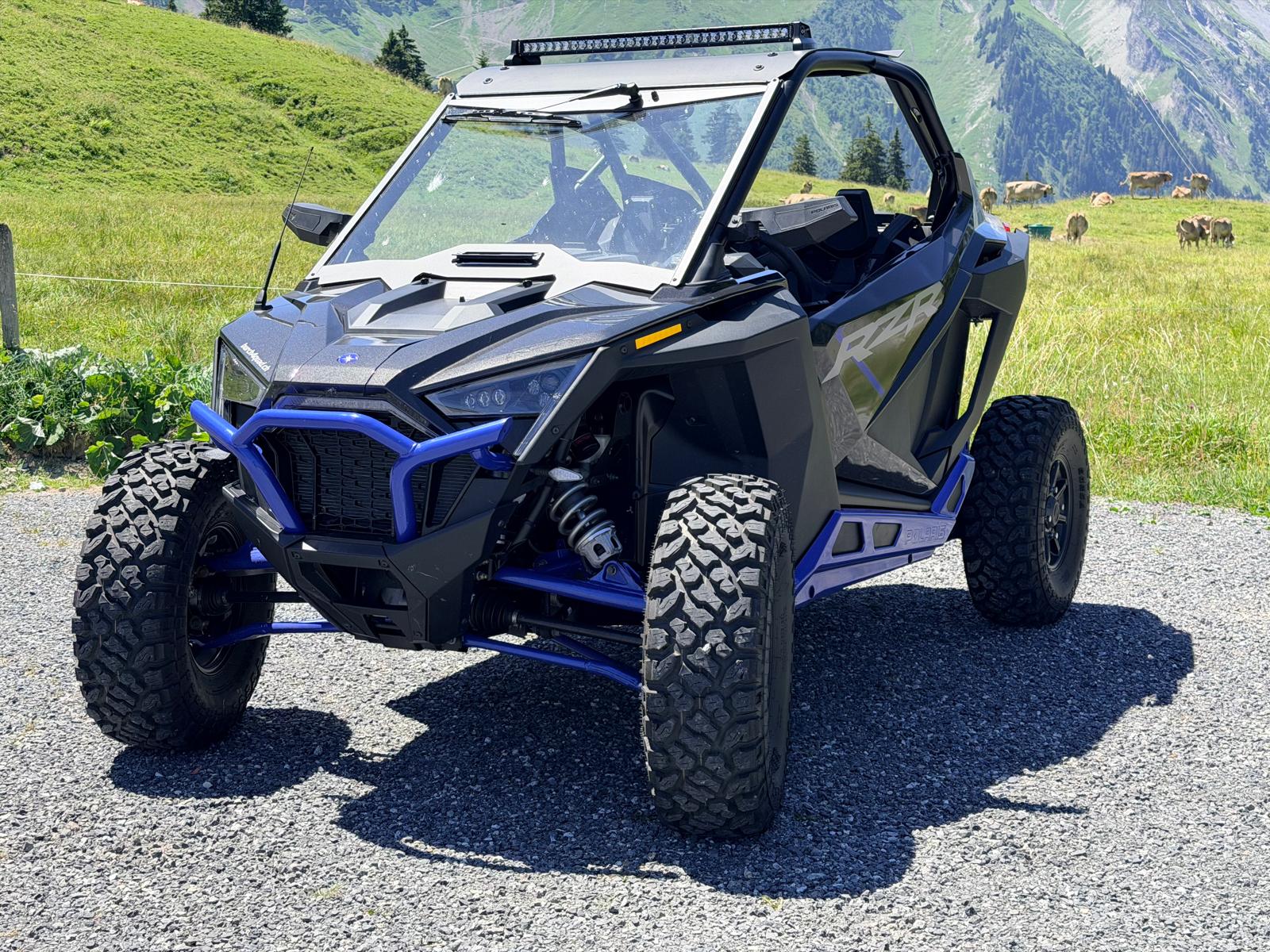 POLARIS Pro XP Ultimate-image-3
