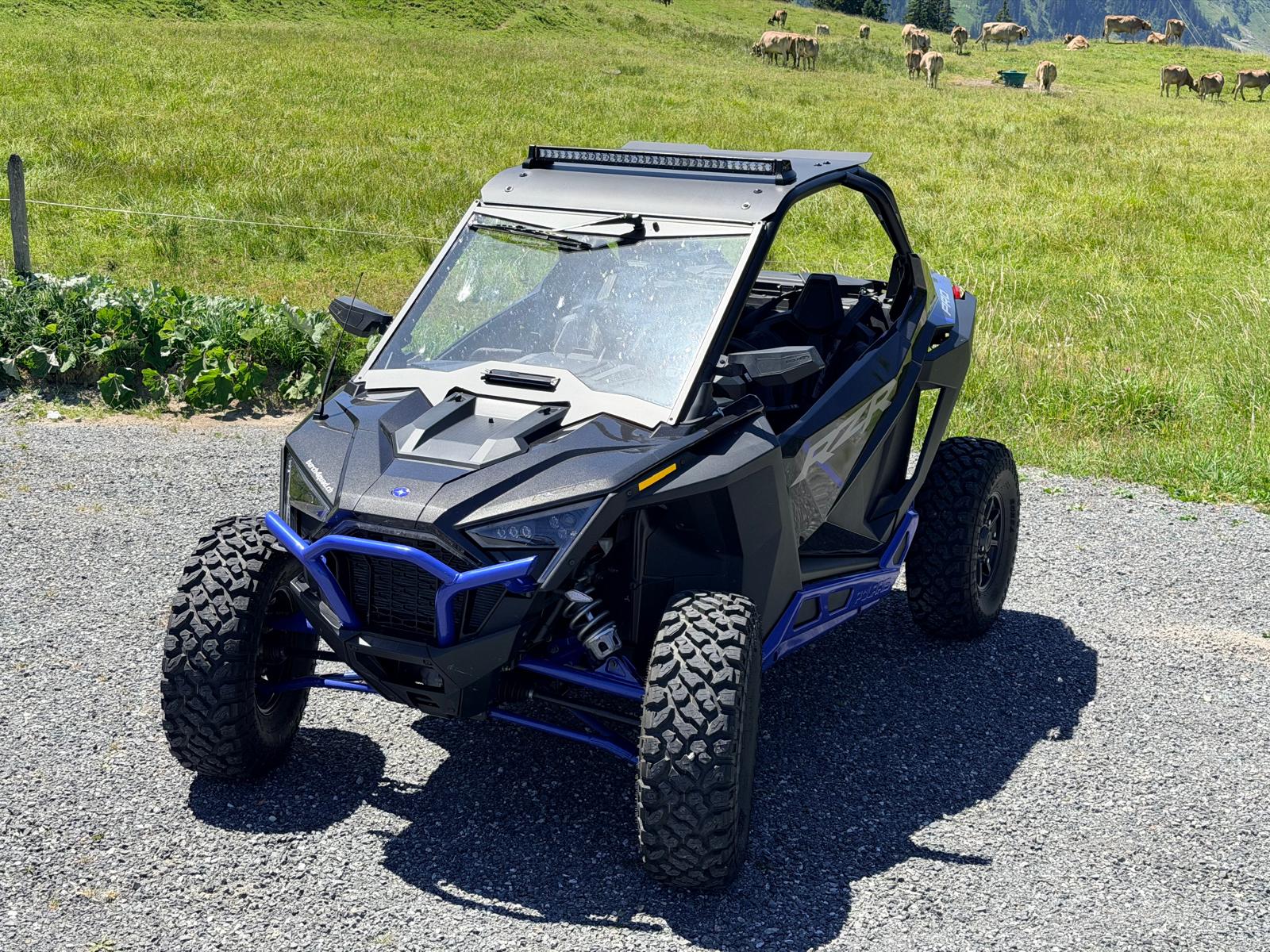 POLARIS Pro XP Ultimate-image-4