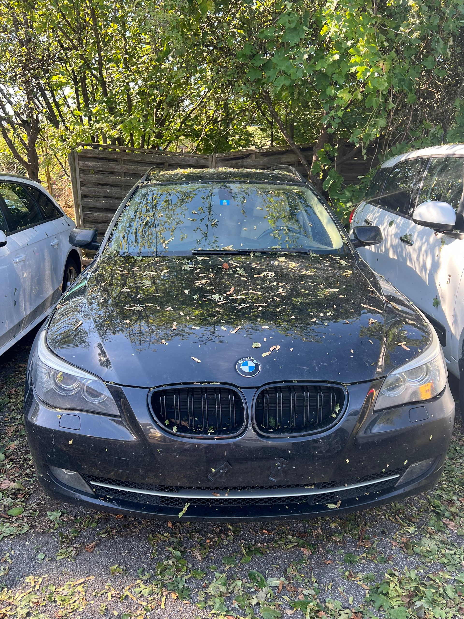 BMW 530xd Touring more4you Steptronic