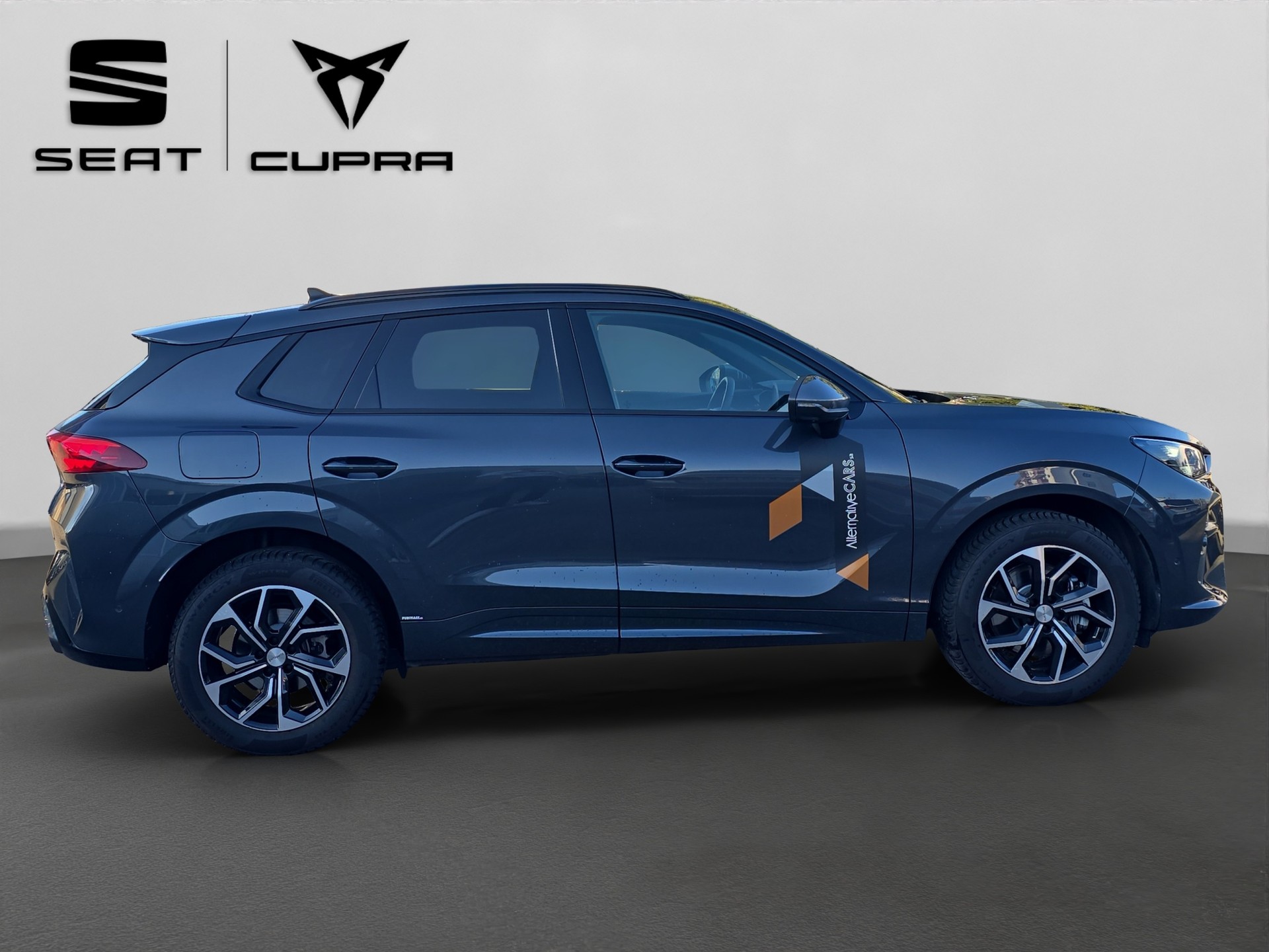 CUPRA Terramar 2.0 TSI DSG 4Drive Business Edition-image-6