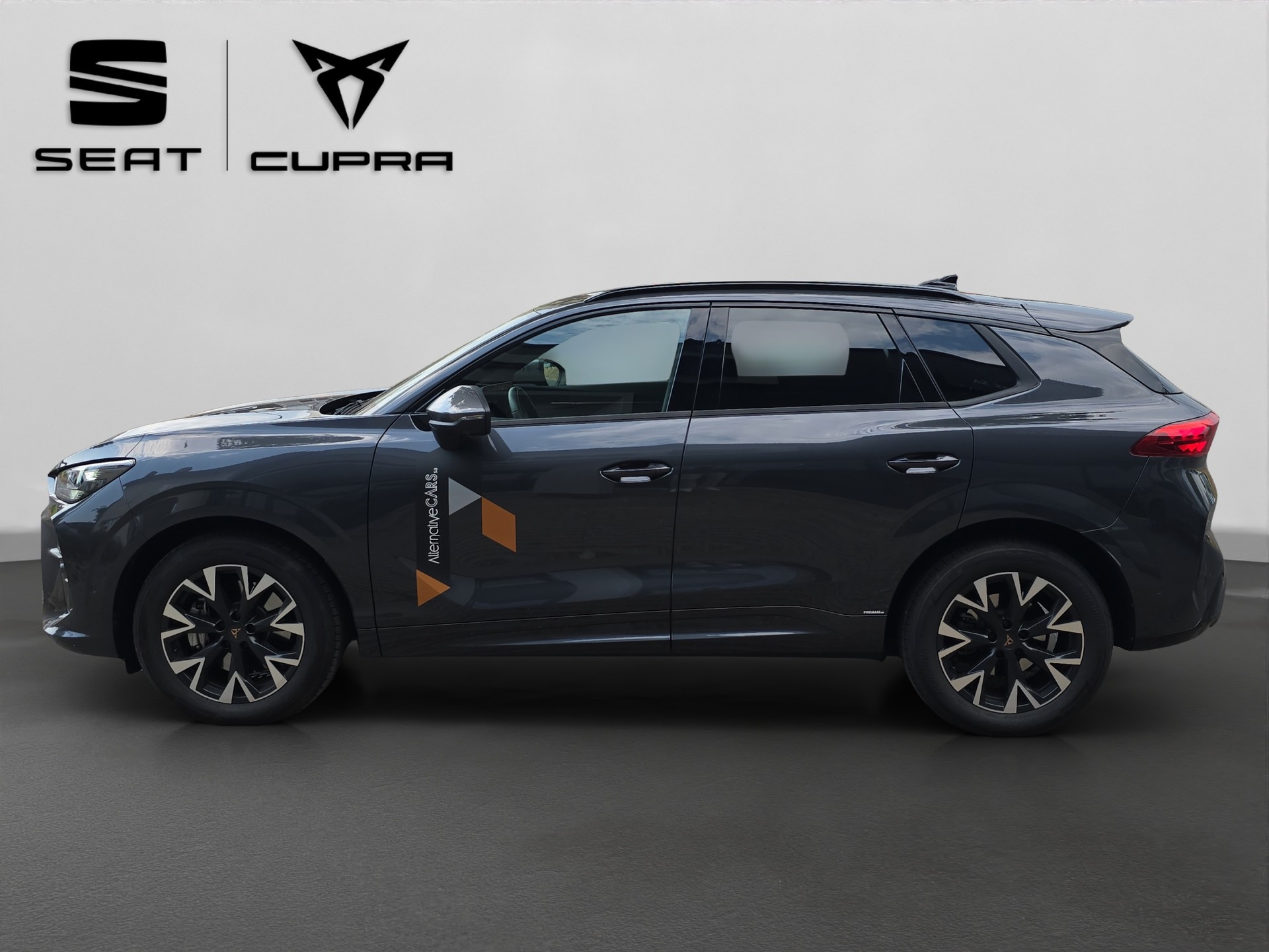 CUPRA Terramar 2.0 TSI DSG 4Drive Business Edition-showroom-element-1