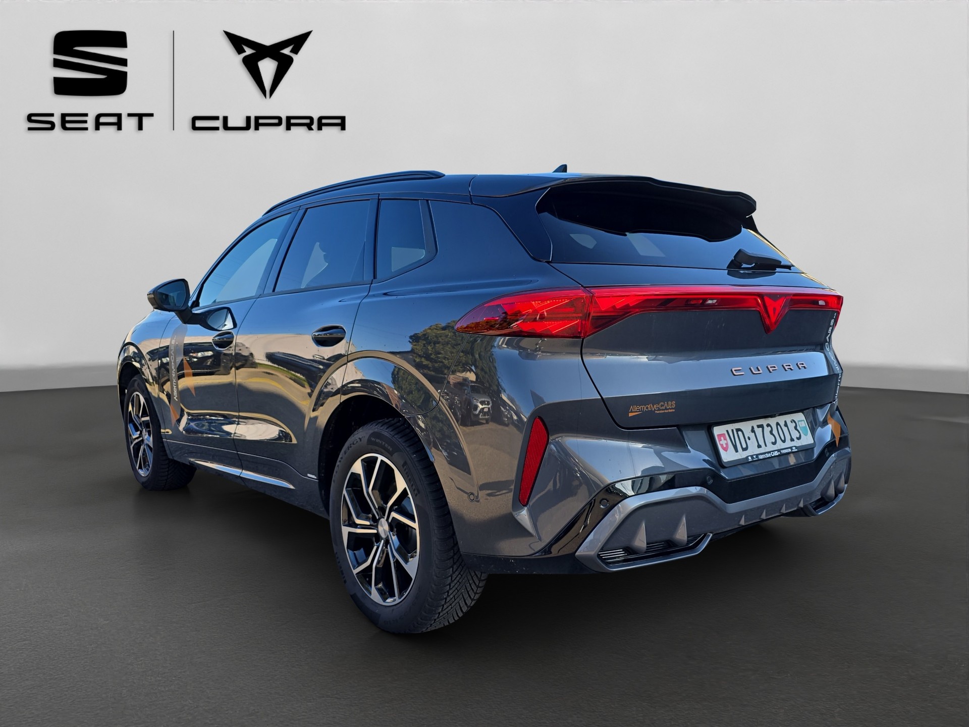 CUPRA Terramar 2.0 TSI DSG 4Drive Business Edition-showroom-element-3