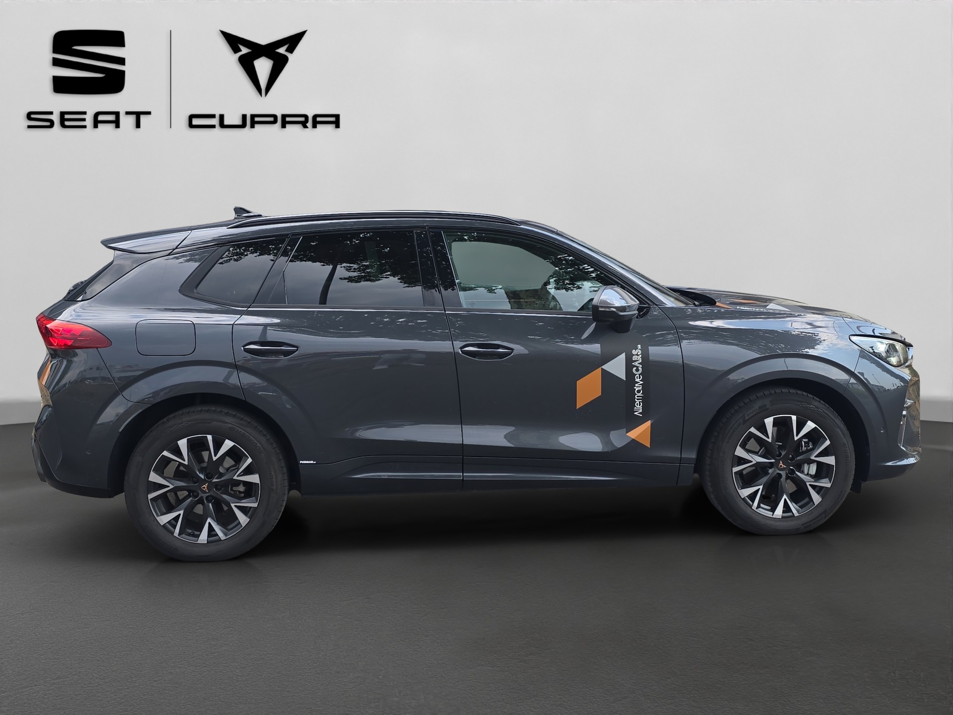 CUPRA Terramar 2.0 TSI DSG 4Drive Business Edition-image-5