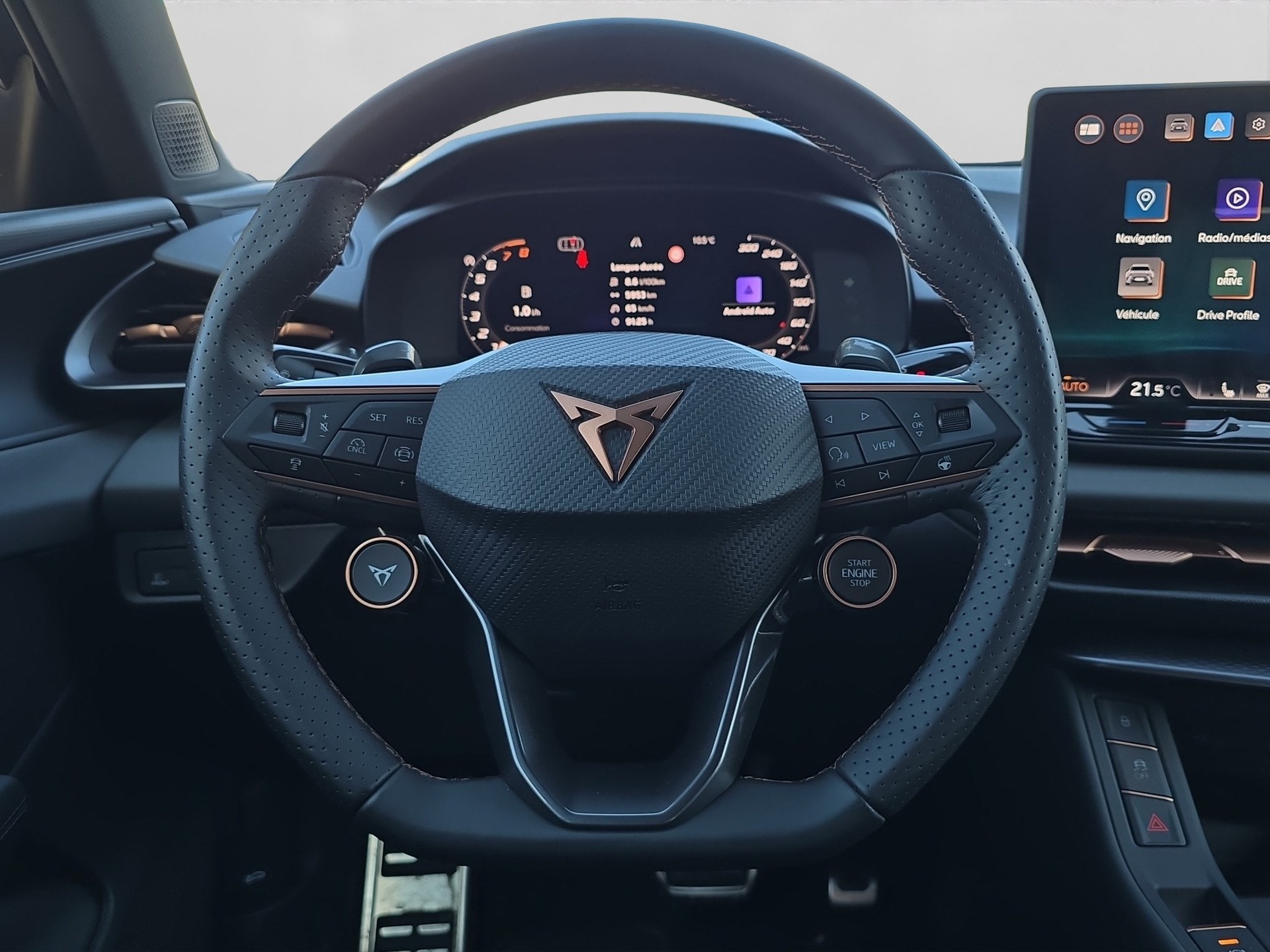 CUPRA Terramar 2.0 TSI DSG 4Drive Business Edition-image-13