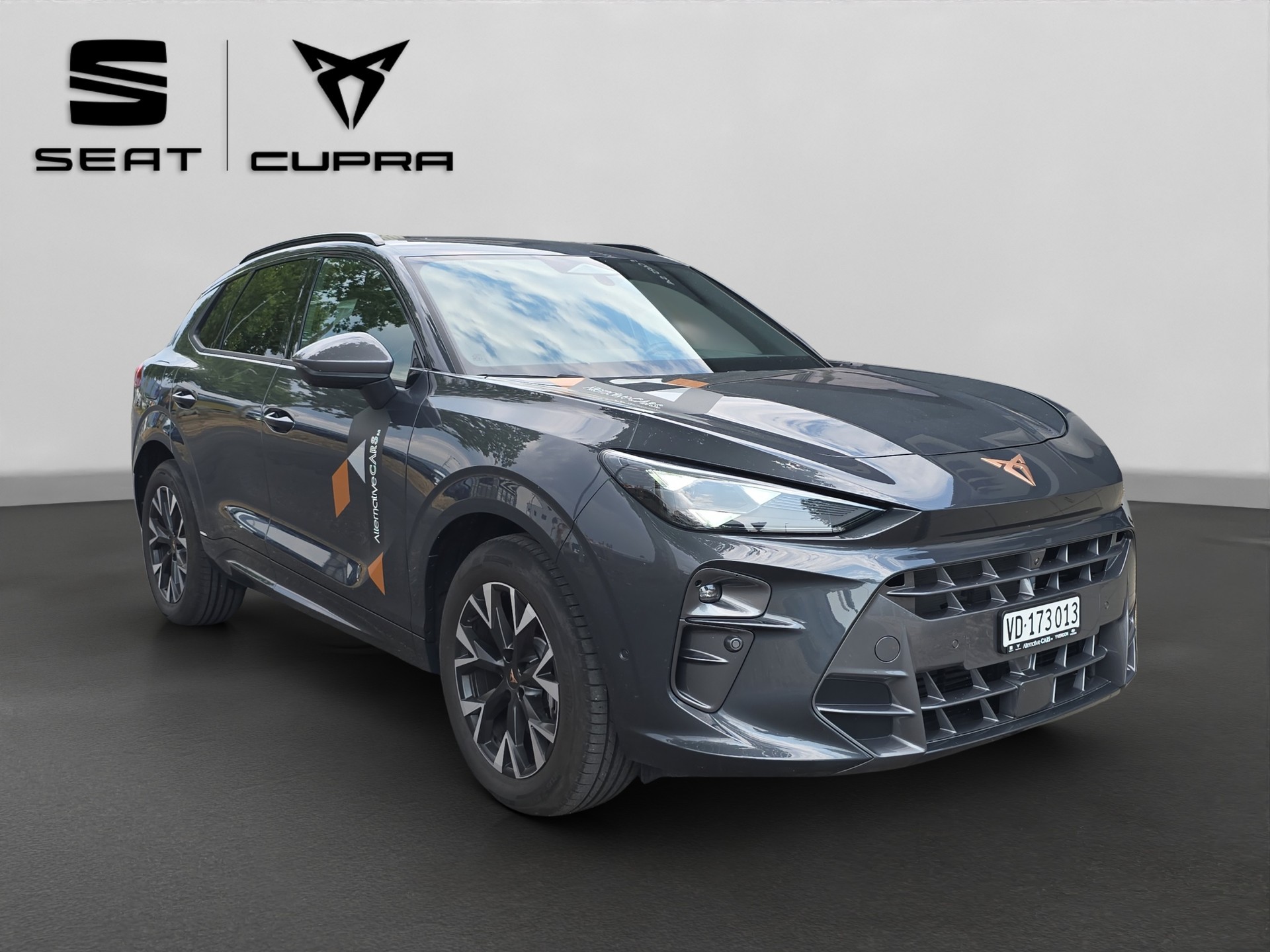 CUPRA Terramar 2.0 TSI DSG 4Drive Business Edition-image-6