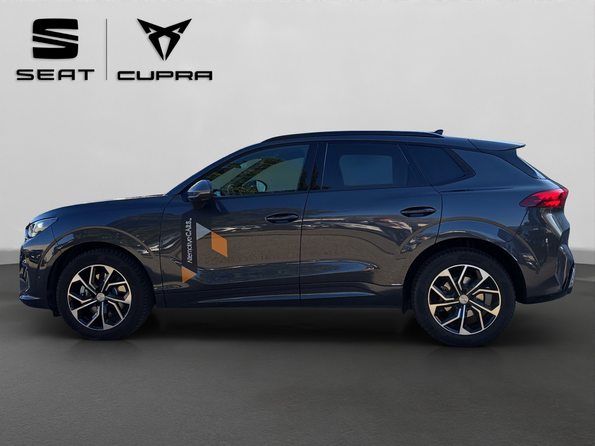 CUPRA Terramar 2.0 TSI DSG 4Drive Business Edition-showroom-element-2