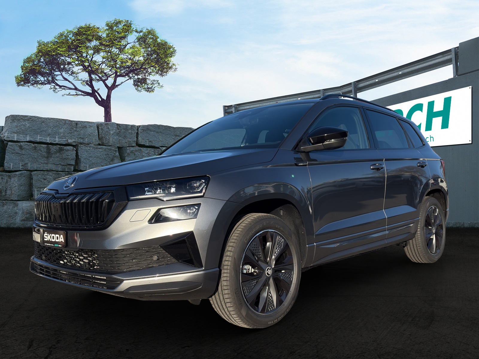 SKODA Karoq 2.0 TSI Dynamic Limited Edition 4x4 DSG