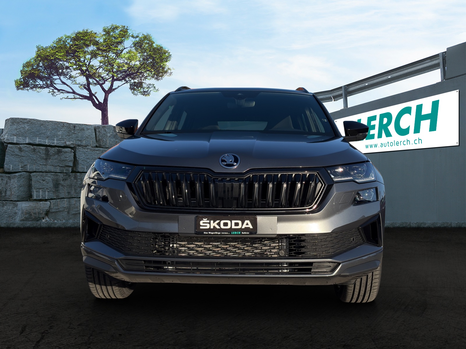 SKODA Karoq 2.0 TSI Dynamic Limited Edition 4x4 DSG-showroom-element-1