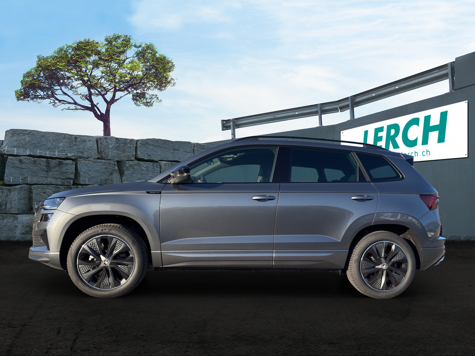 SKODA Karoq 2.0 TSI Dynamic Limited Edition 4x4 DSG-showroom-element-2