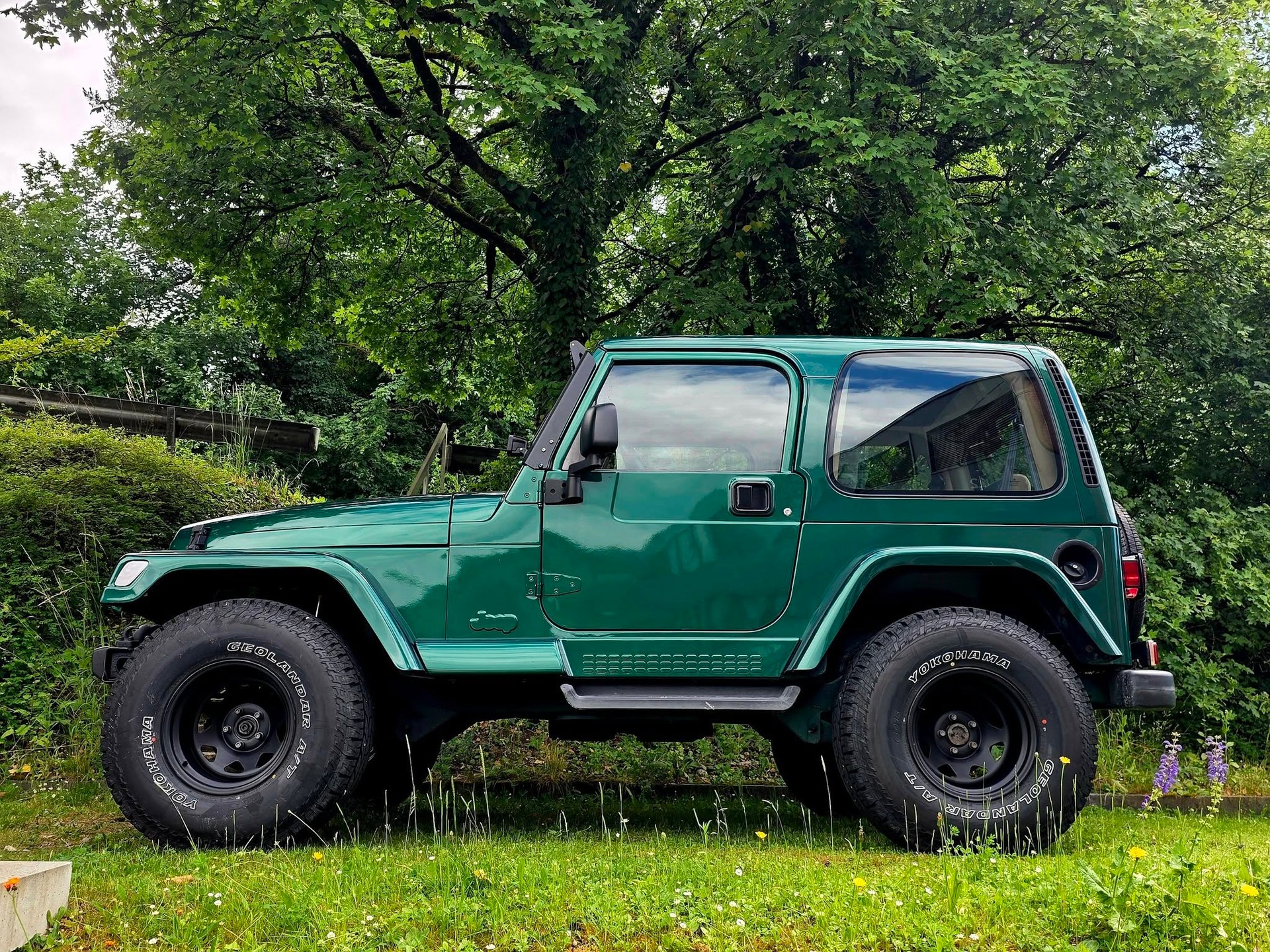 JEEP Wrangler 4.0 Sahara Hardtop-image-5