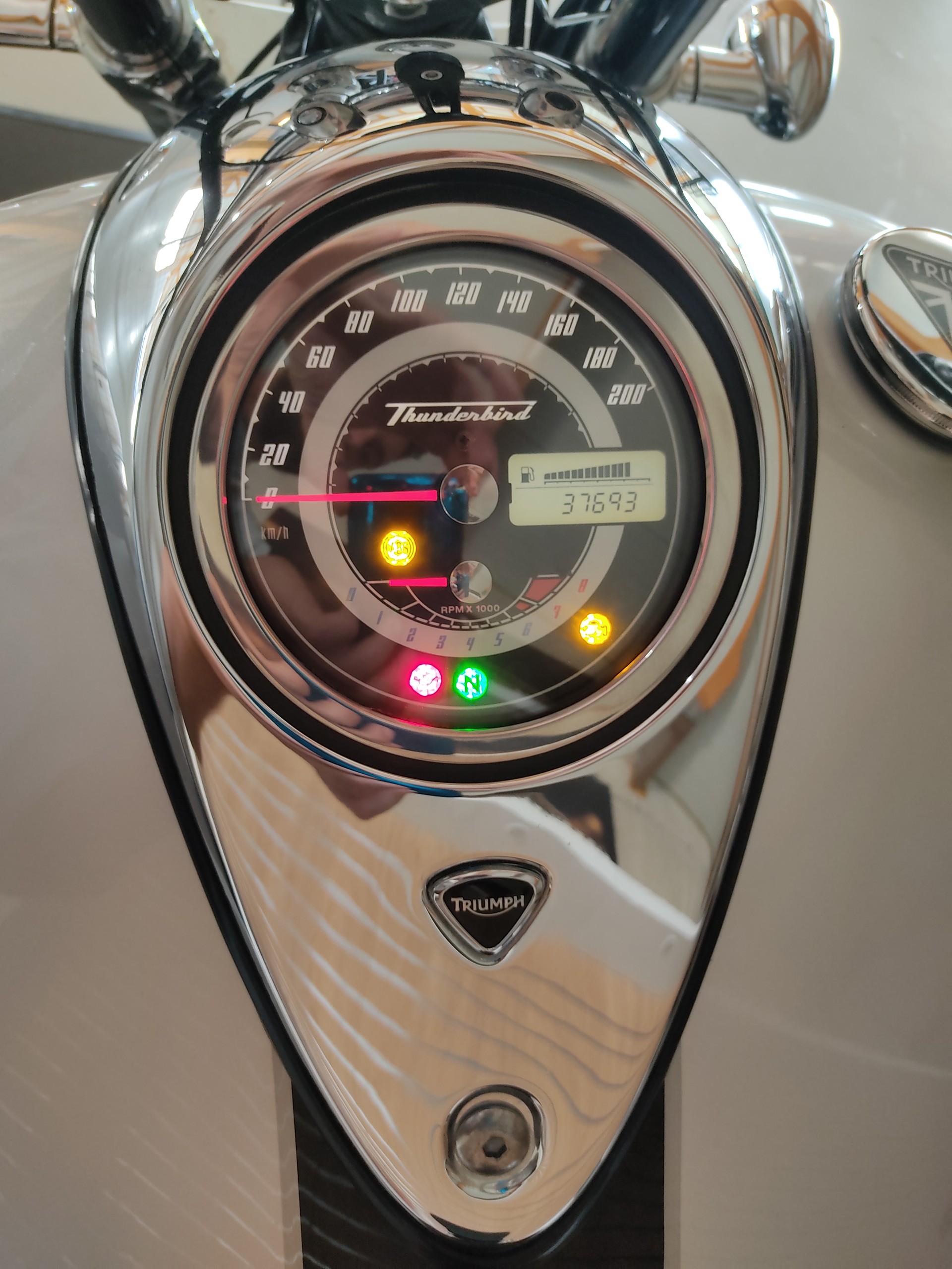 TRIUMPH Thunderbird 1600 ABS-image-10