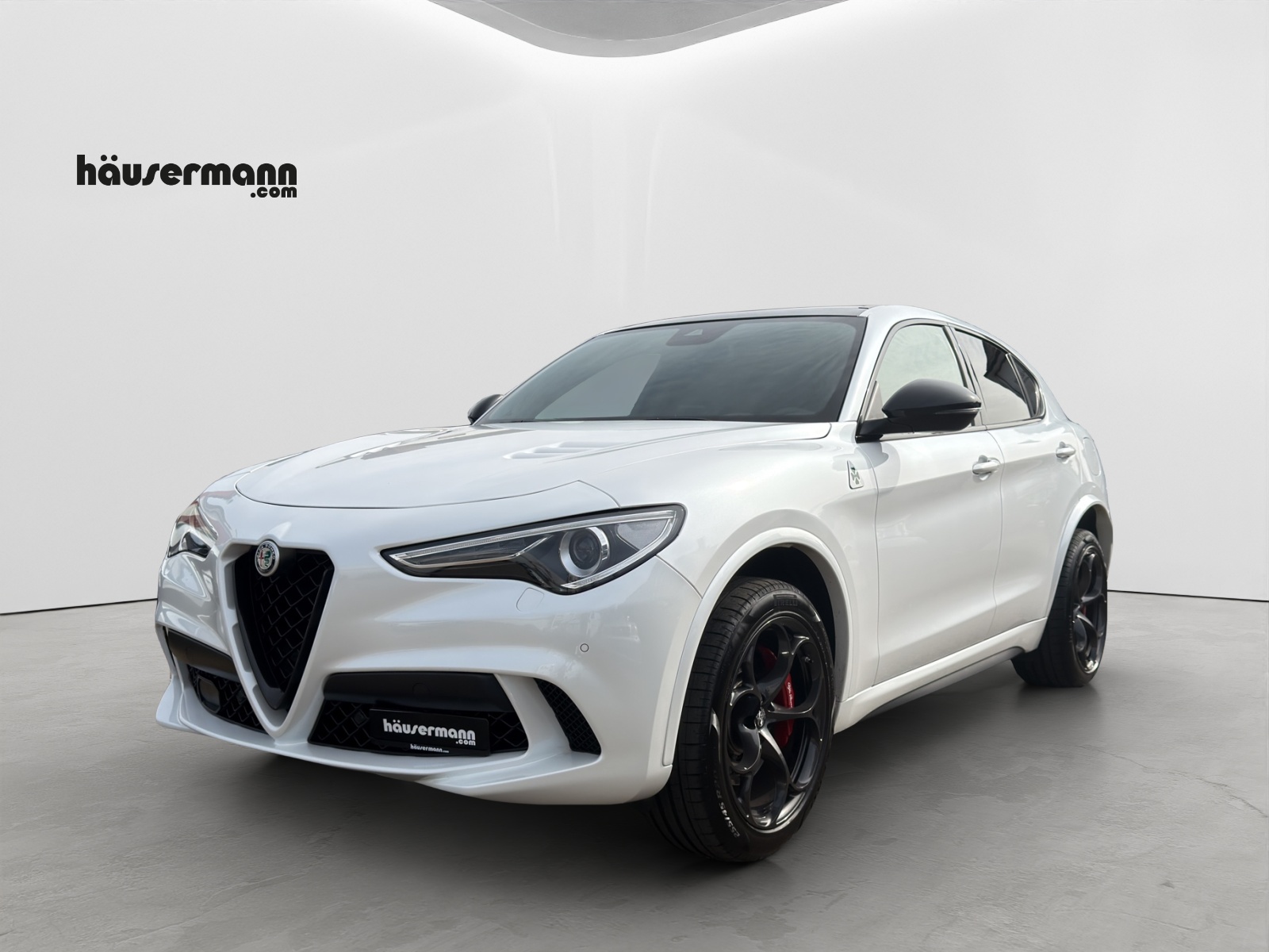 ALFA ROMEO Stelvio 2.9 V6 Biturbo Q4 Quadrifoglio