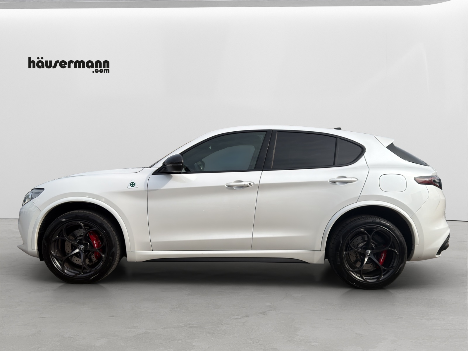 ALFA ROMEO Stelvio 2.9 V6 Biturbo Q4 Quadrifoglio-showroom-element-1