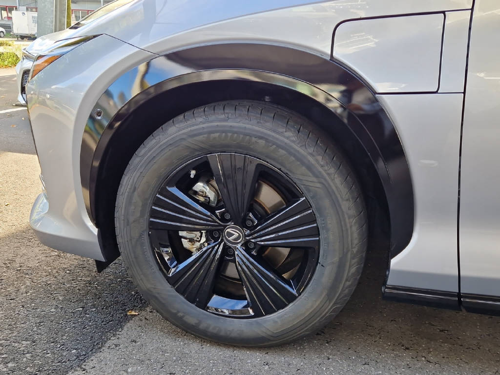 LEXUS RZ 450e Excellence 46798/028-image-19