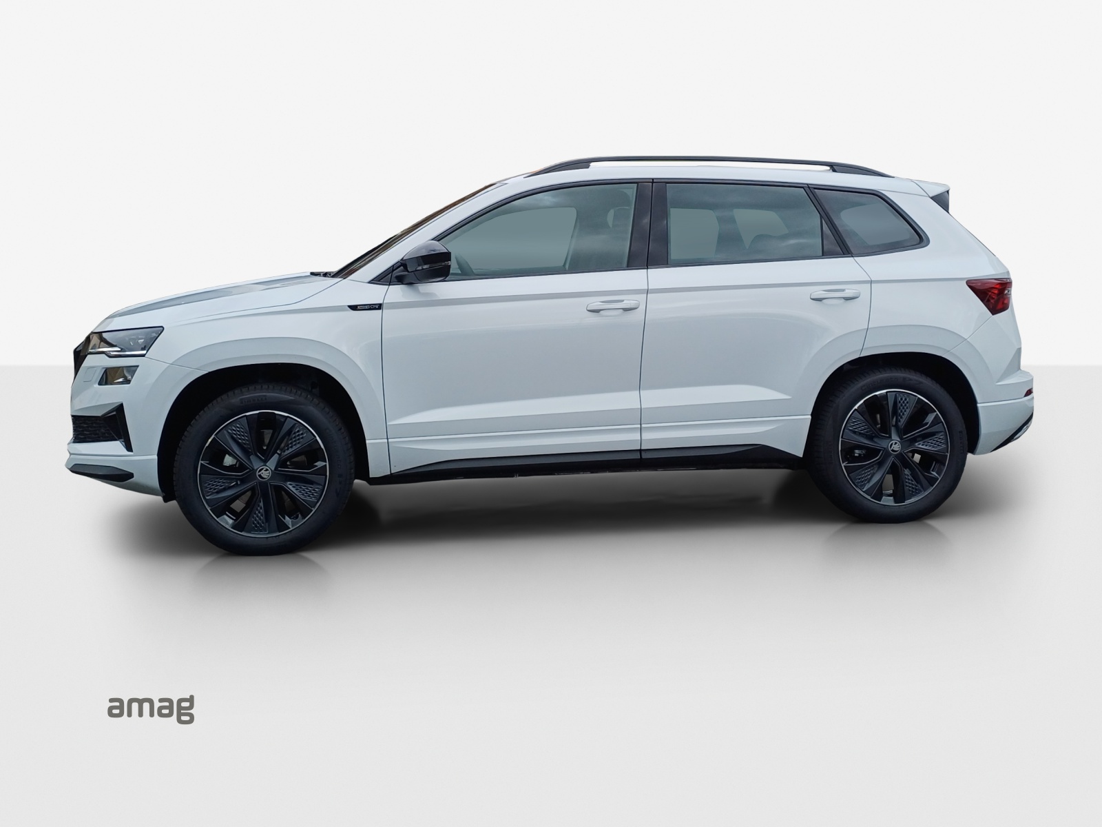 SKODA Karoq 2.0 TSI Dynamic Limited Edition 4x4 DSG-showroom-element-1