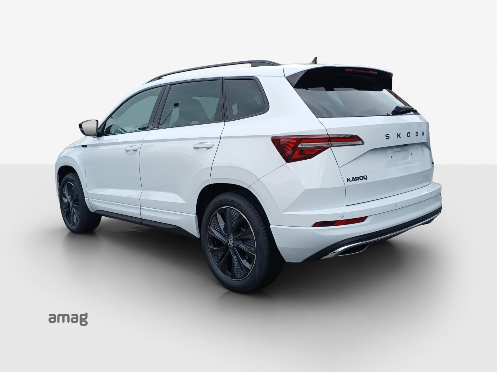 SKODA Karoq 2.0 TSI Dynamic Limited Edition 4x4 DSG-showroom-element-2