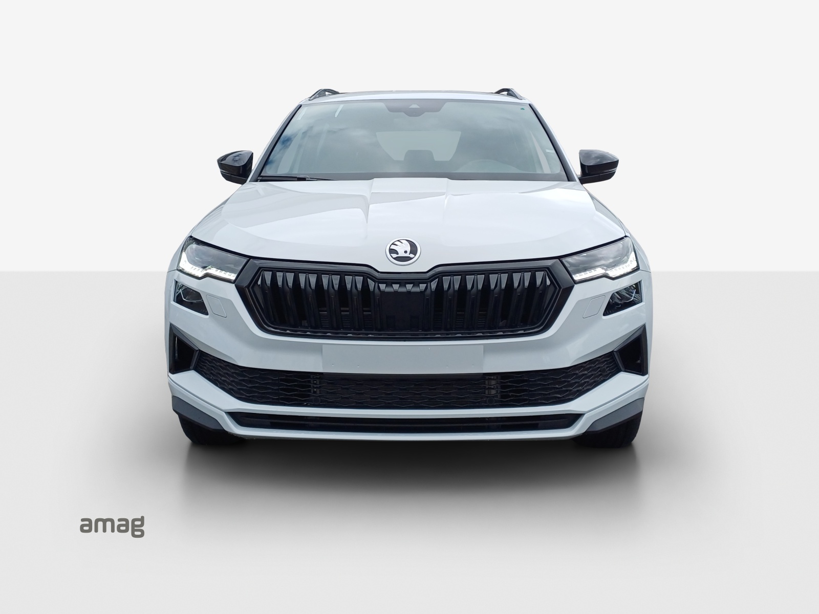 SKODA Karoq 2.0 TSI Dynamic Limited Edition 4x4 DSG-image-6