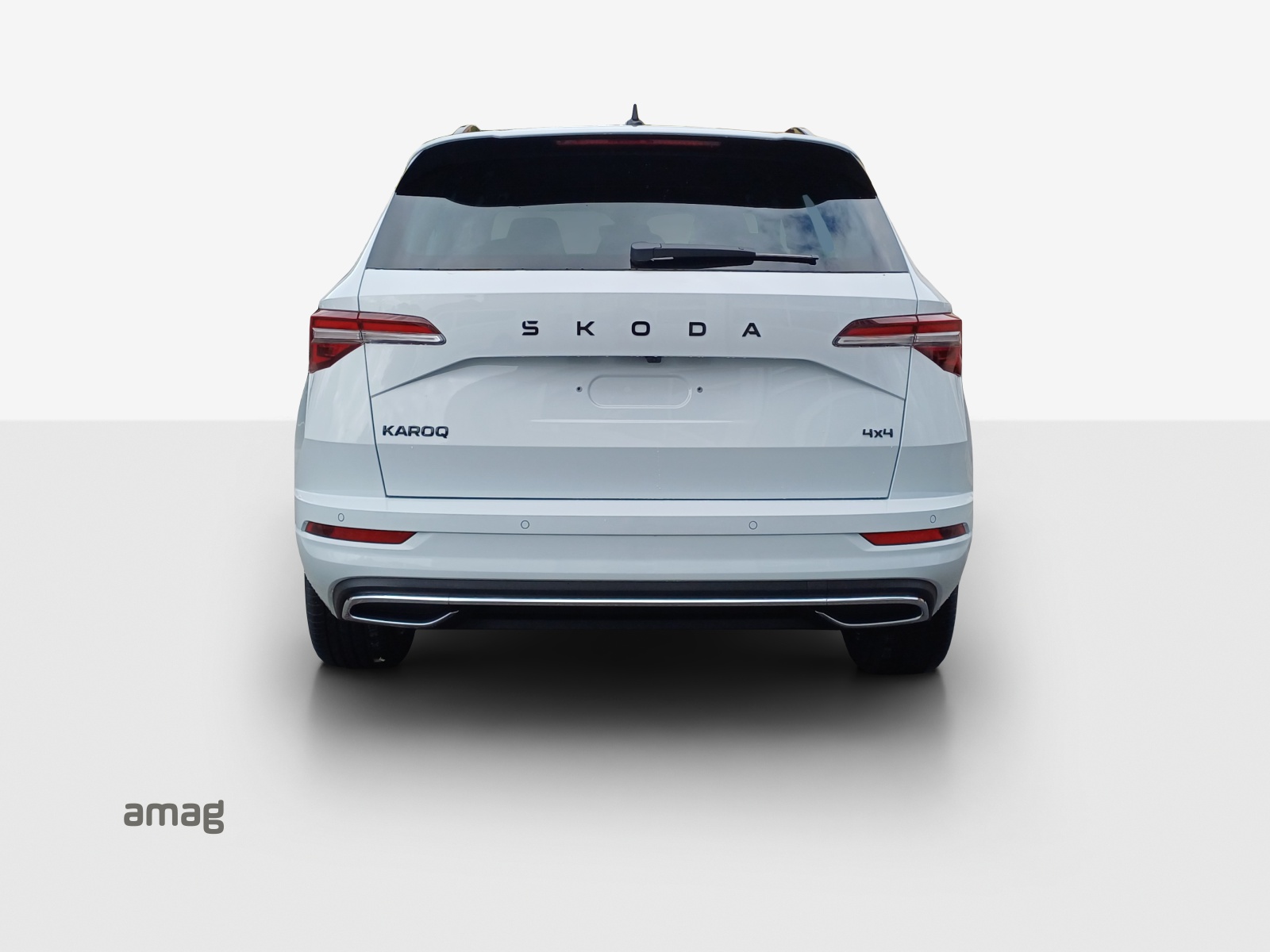 SKODA Karoq 2.0 TSI Dynamic Limited Edition 4x4 DSG-showroom-element-3