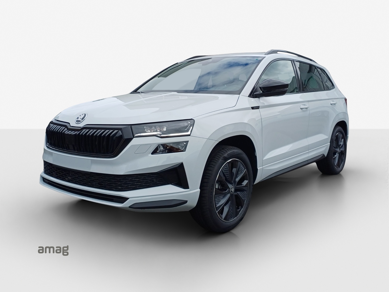 SKODA Karoq 2.0 TSI Dynamic Limited Edition 4x4 DSG