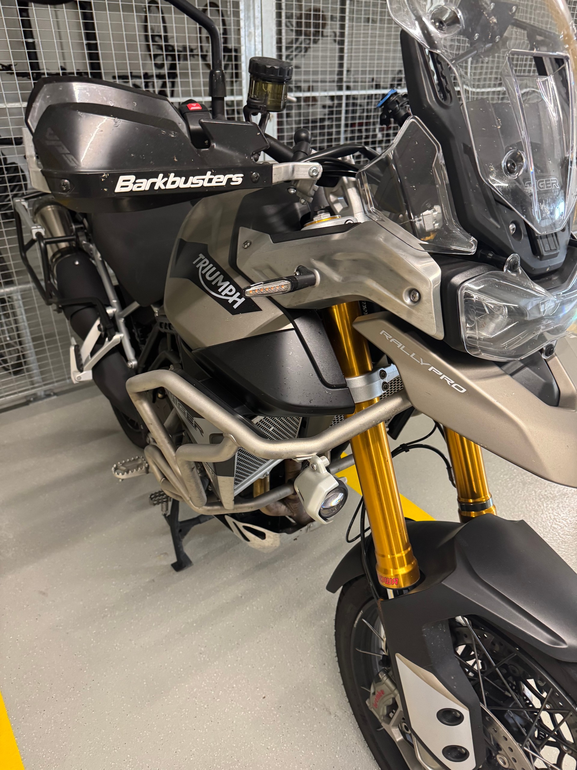 TRIUMPH Tiger 900 Rally Pro-image-3