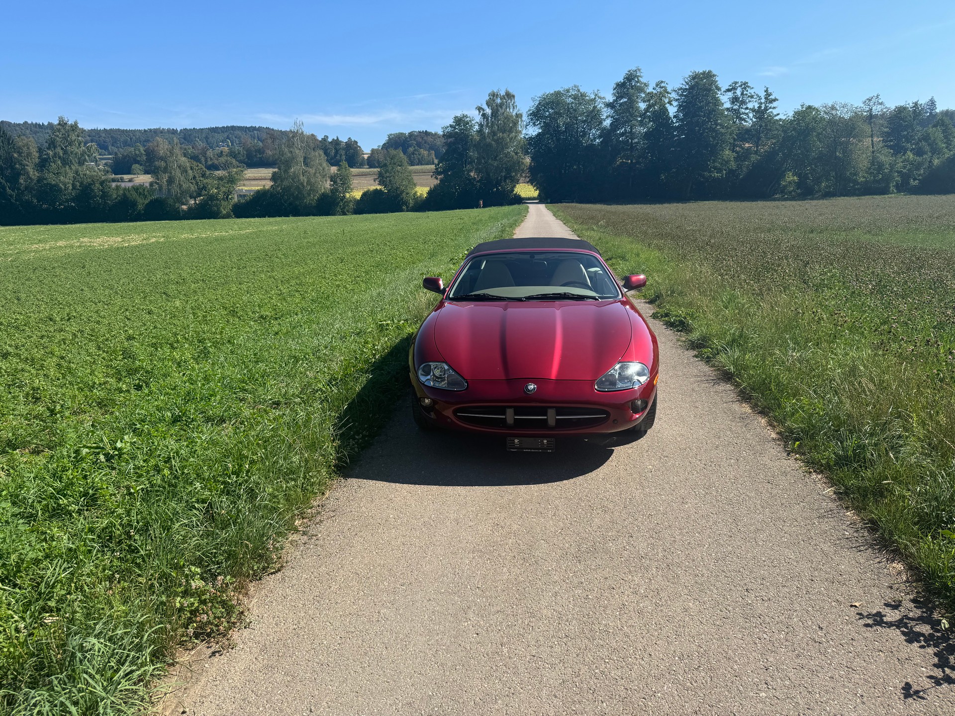JAGUAR XK8 4.0-image-6