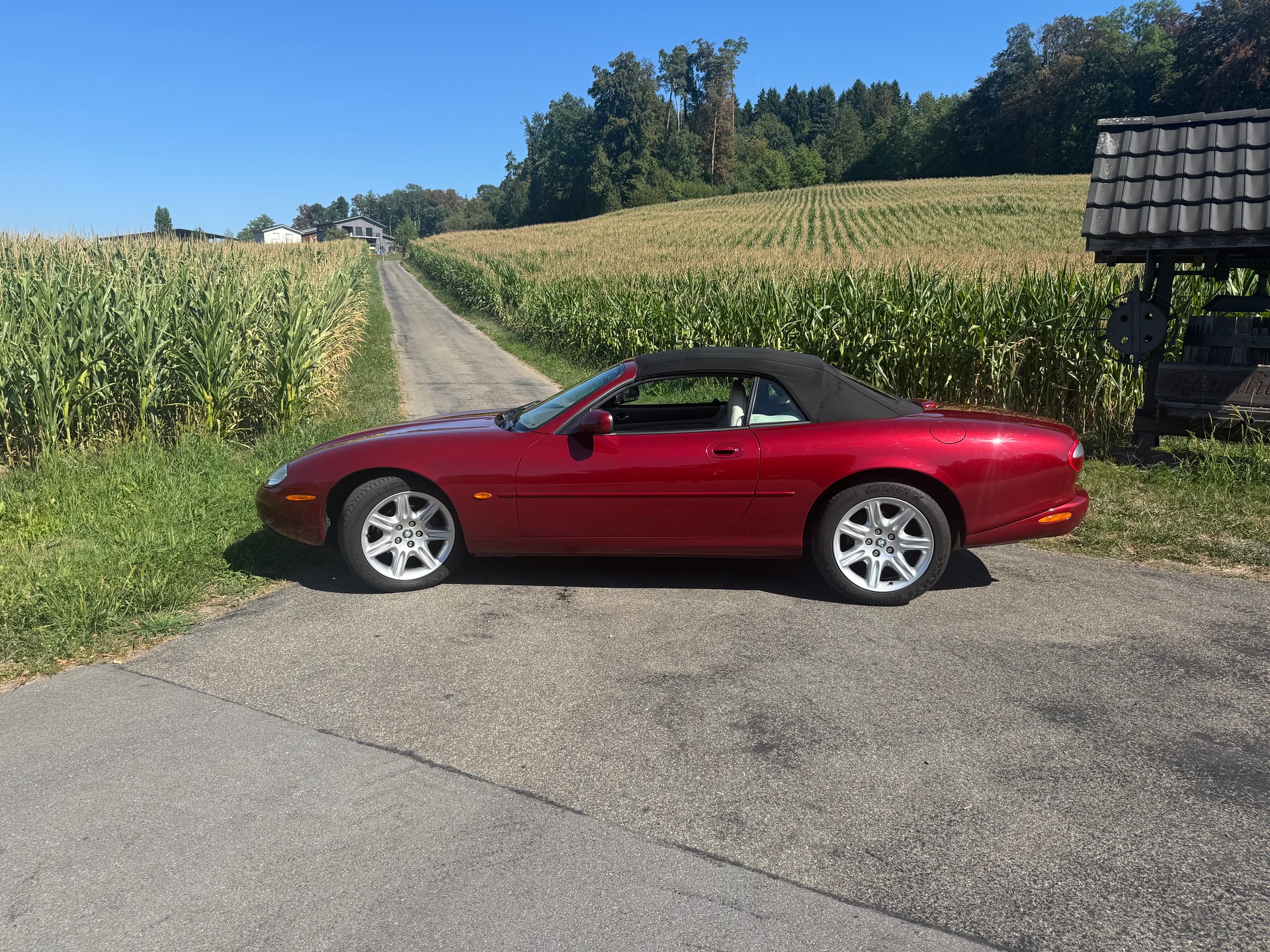 JAGUAR XK8 4.0-image-5