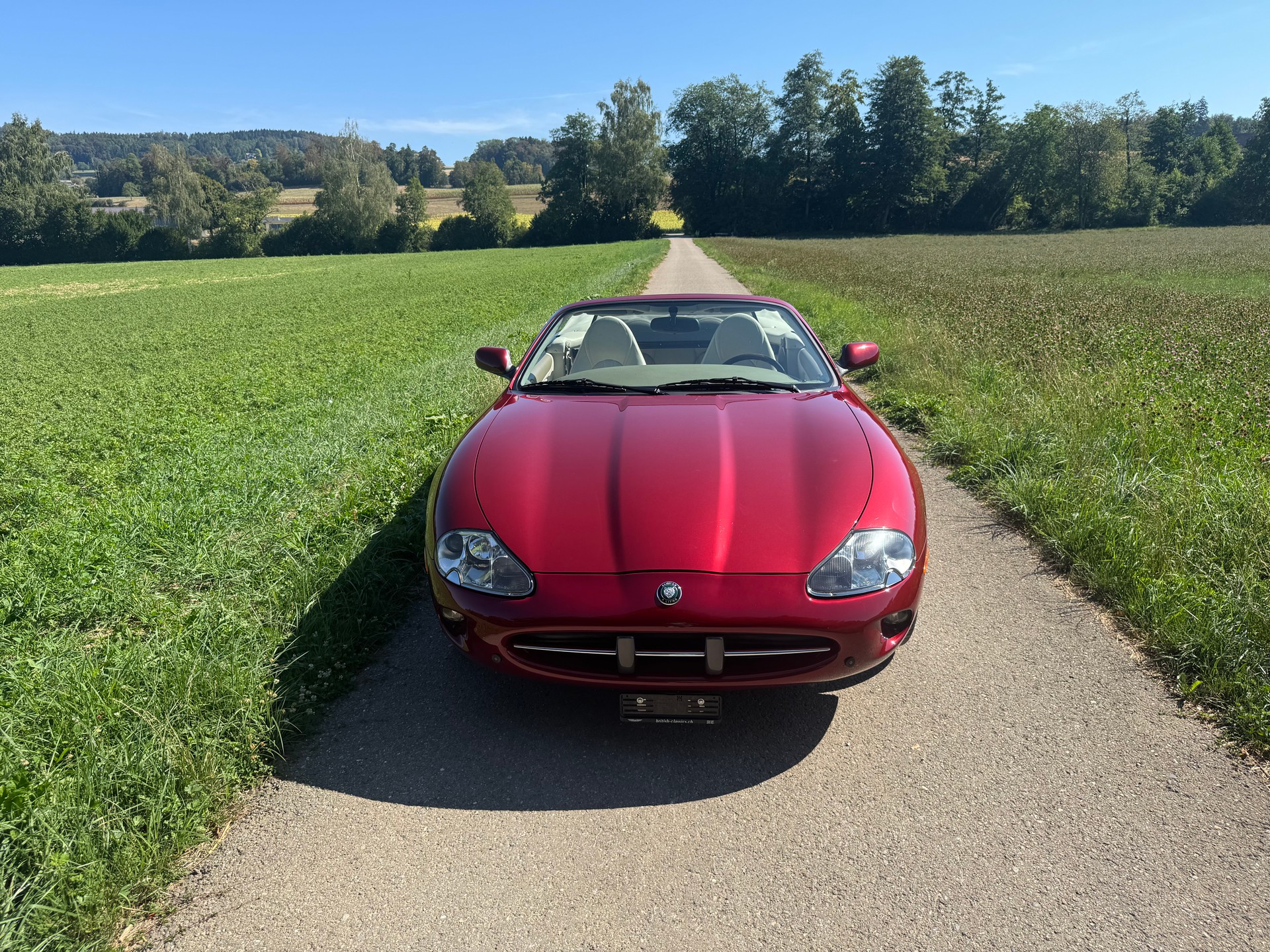JAGUAR XK8 4.0-showroom-element-3