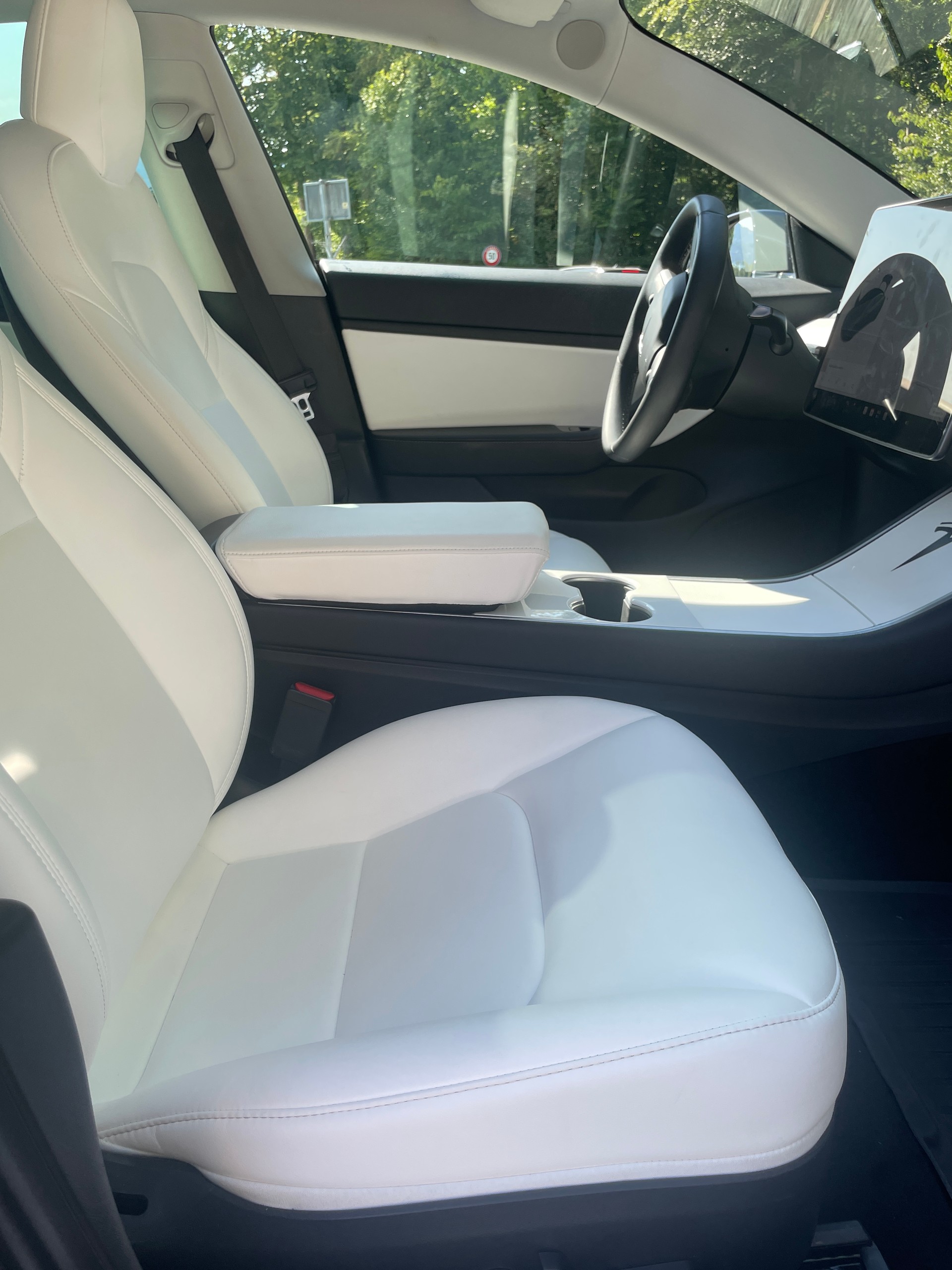 TESLA Performance D-image-3