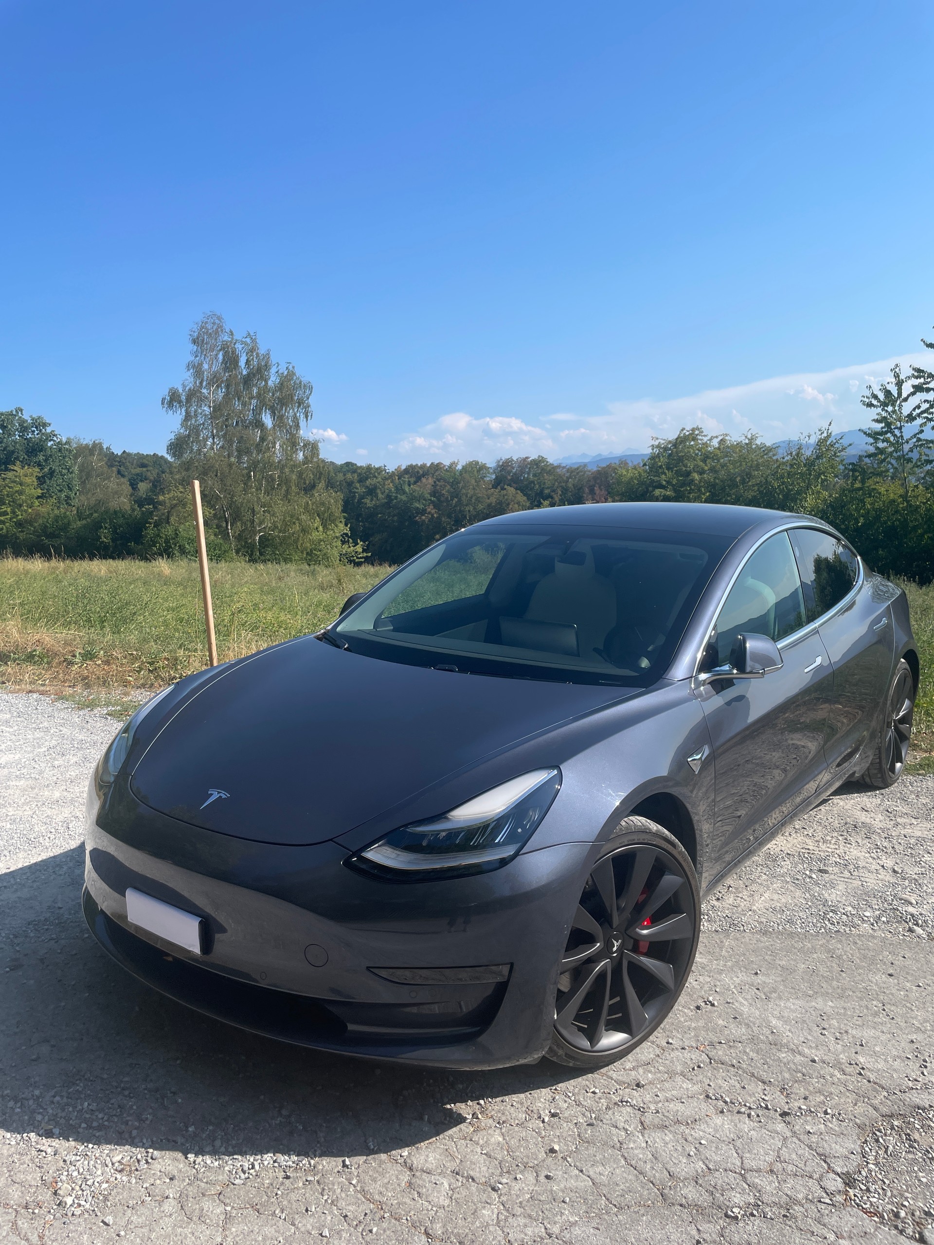 TESLA Performance D-image-7