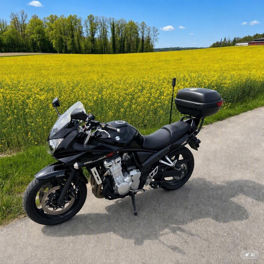 SUZUKI GSF 650-image-0