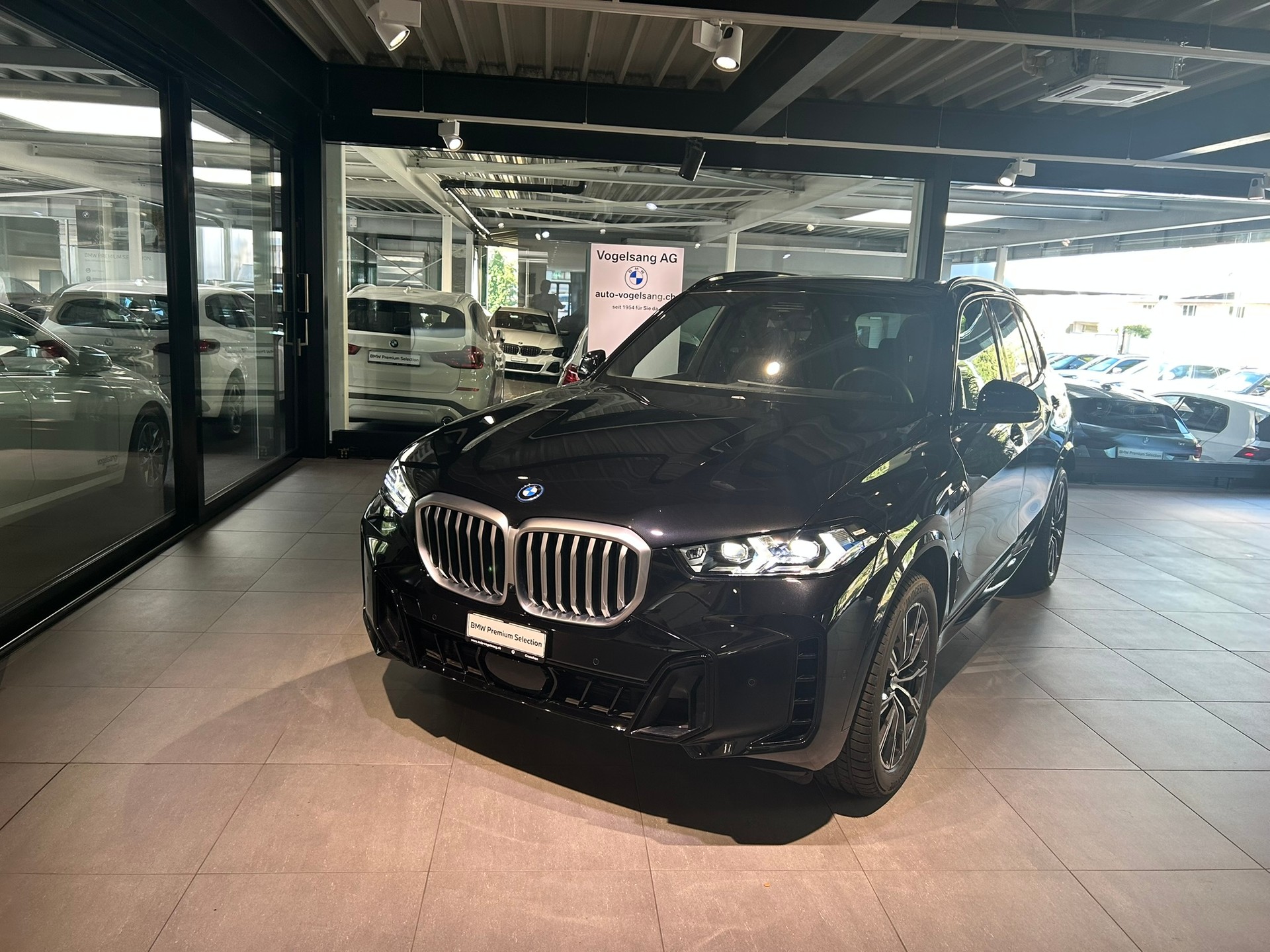 BMW X5 xDrive 50e M Sport Steptronic-showroom-element-3