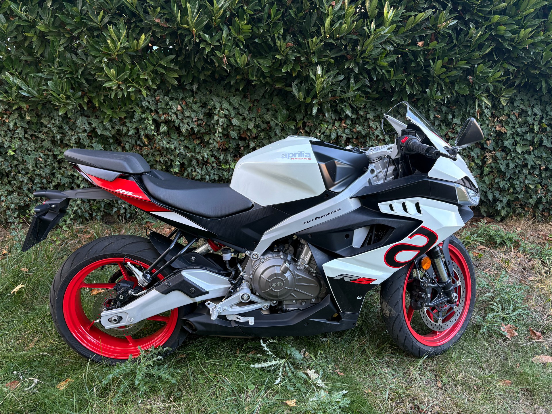 APRILIA RS 457 (35kW)-image-1