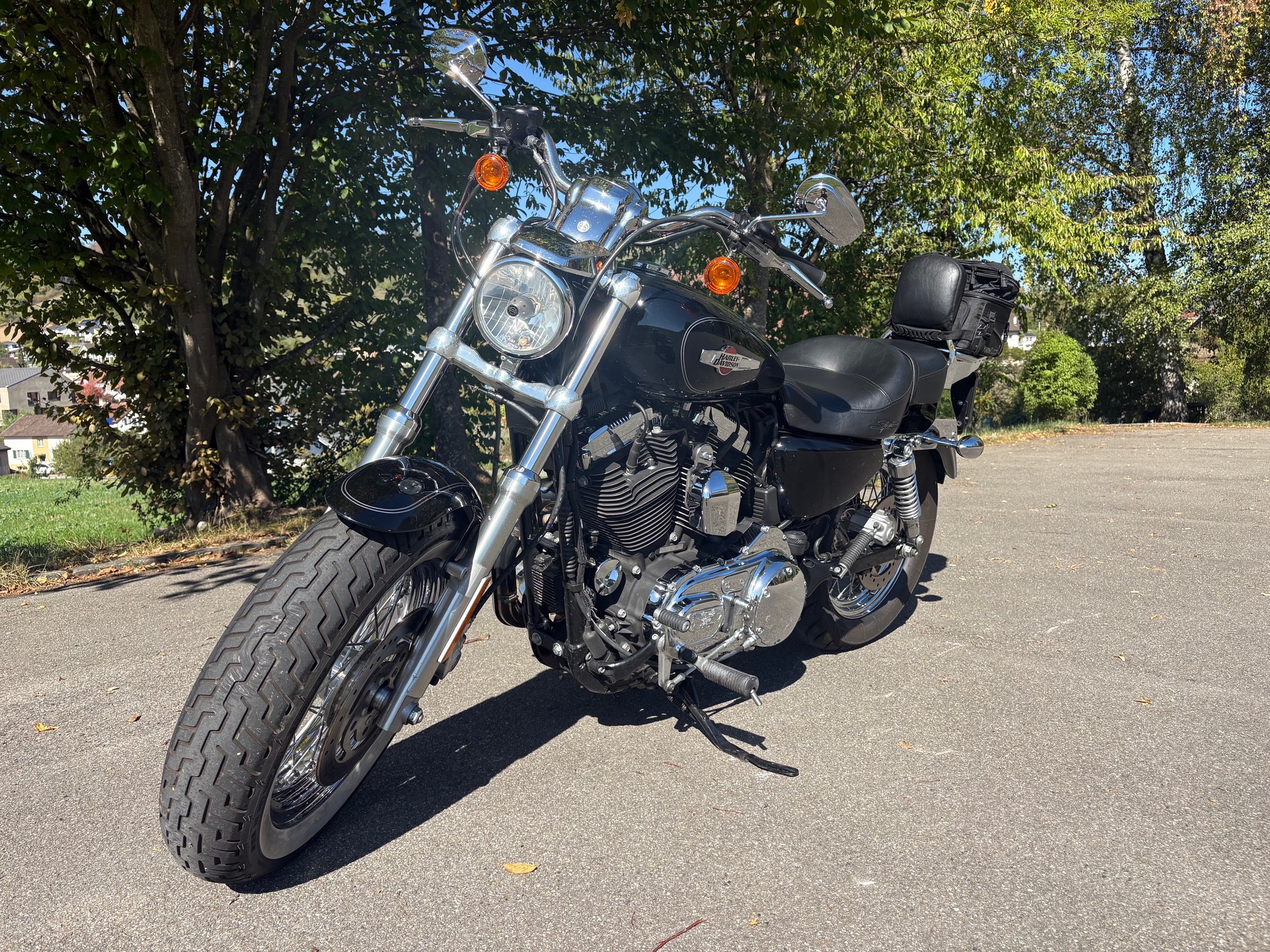 HARLEY-DAVIDSON XL 1200 C Sportster Custom-image-3