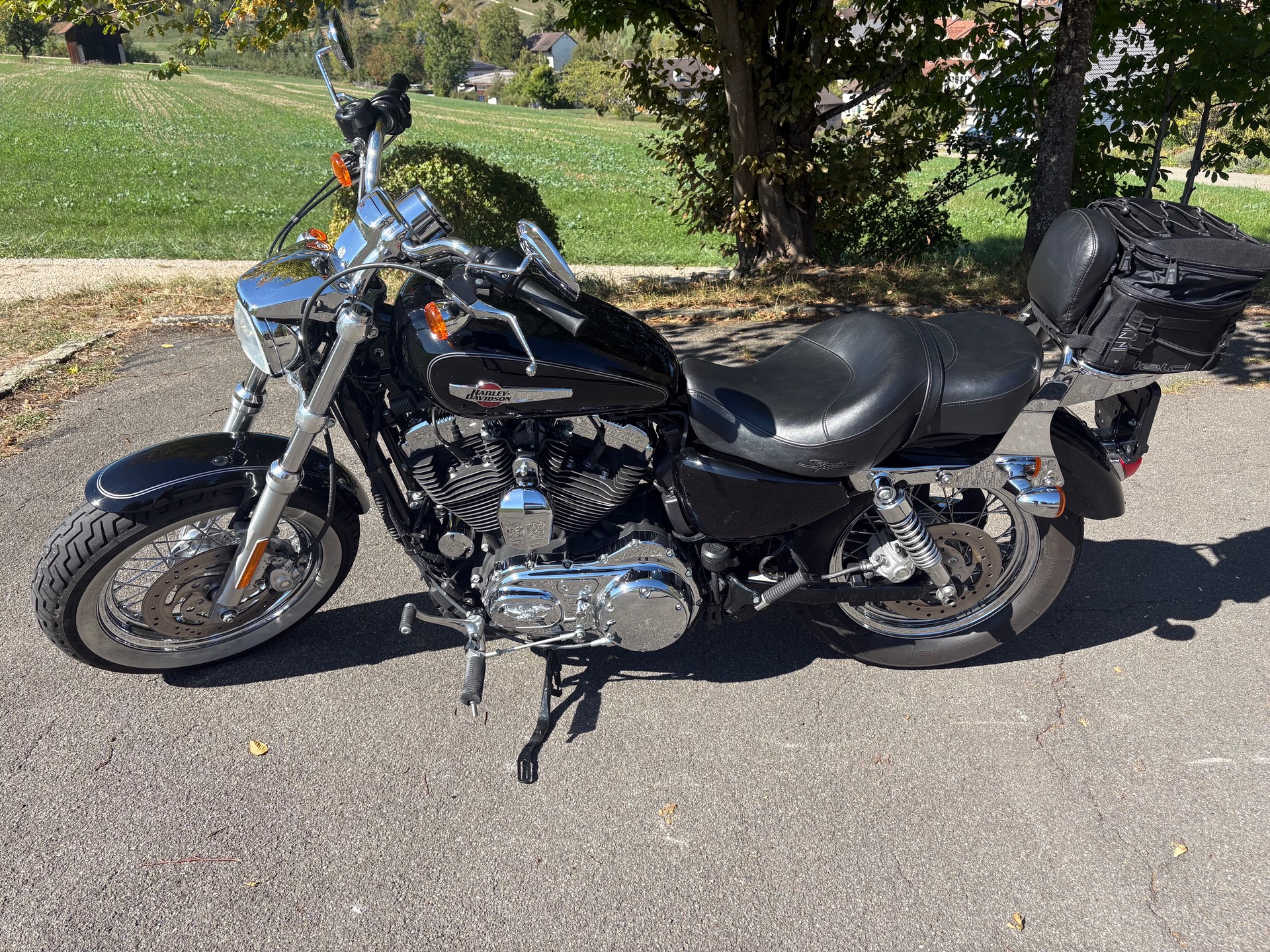 HARLEY-DAVIDSON XL 1200 C Sportster Custom-image-2