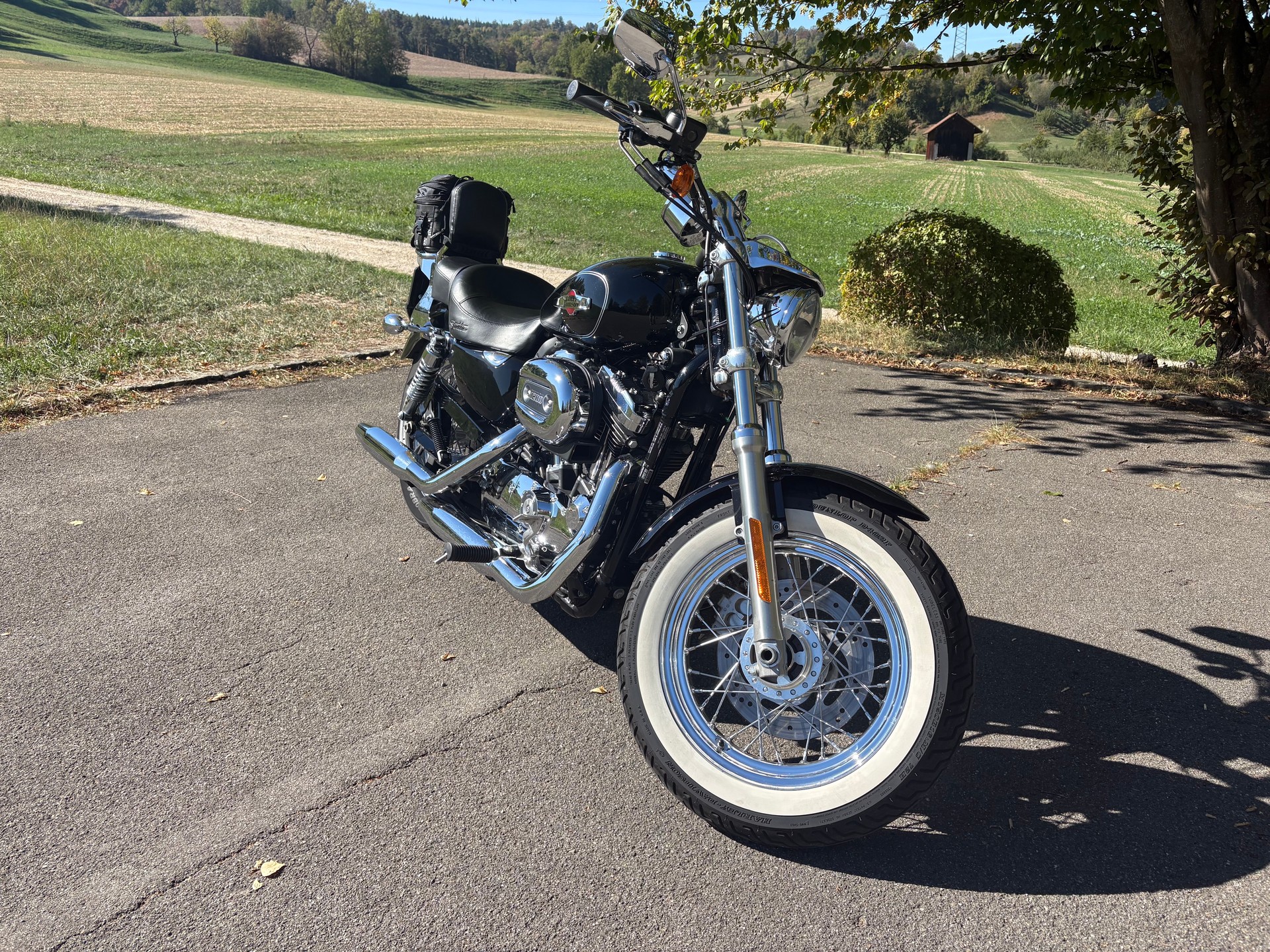 HARLEY-DAVIDSON XL 1200 C Sportster Custom-image-1