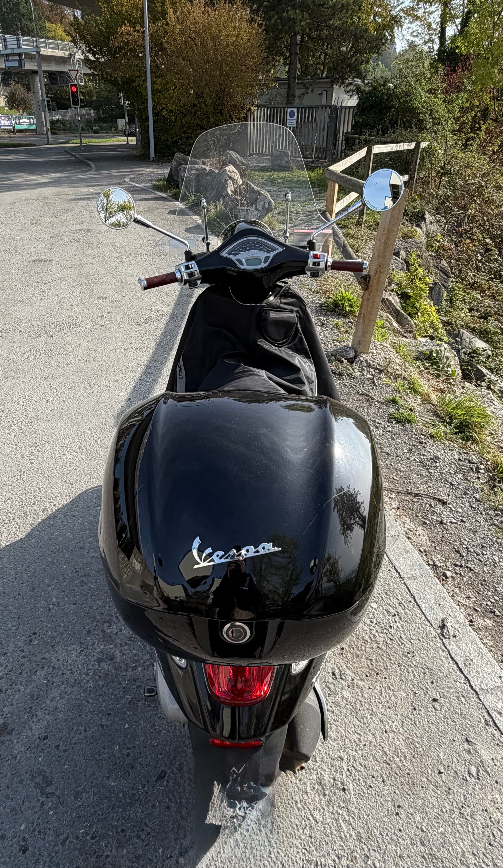 PIAGGIO Vespa 125 Primavera i.e. 3V-image-1