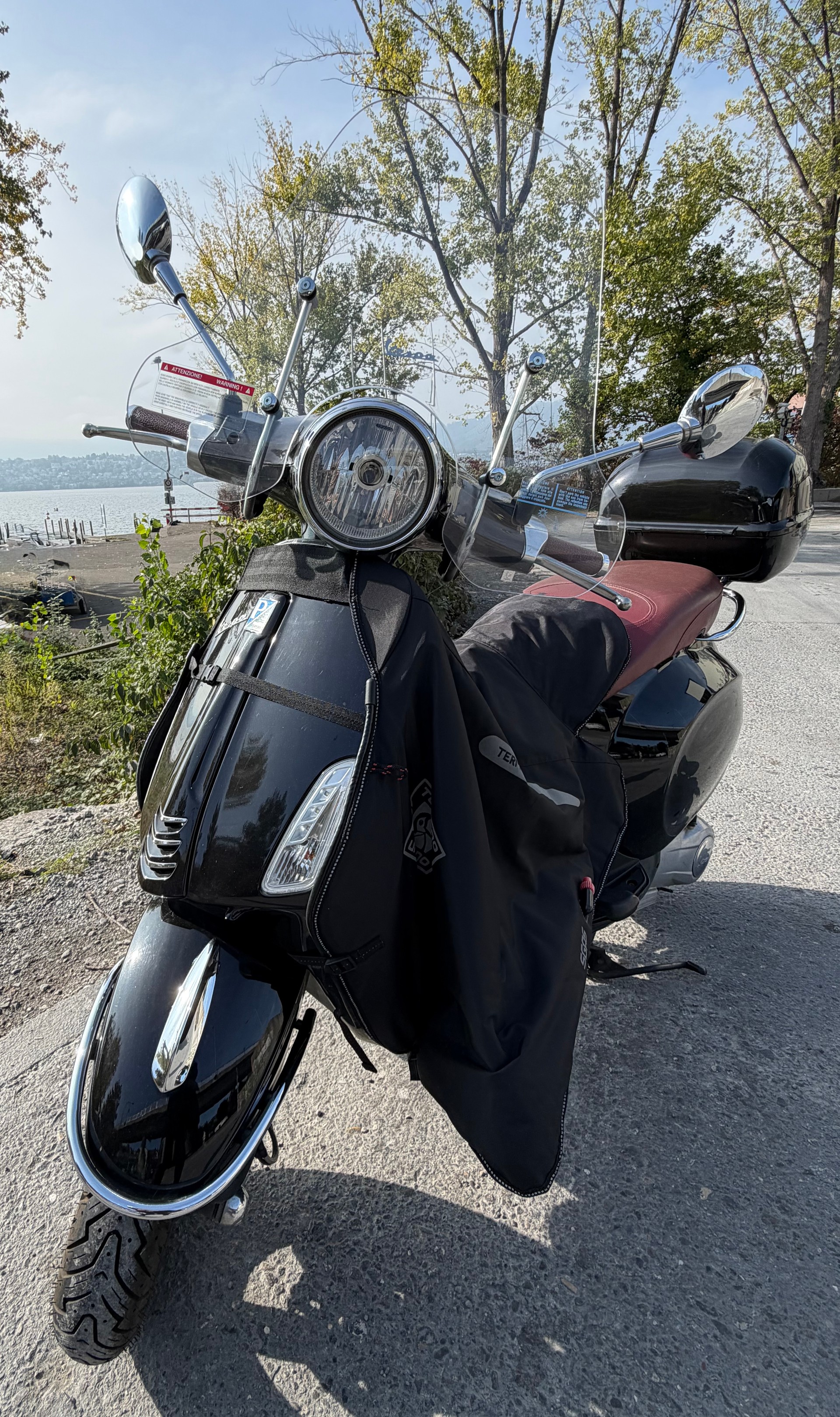PIAGGIO Vespa 125 Primavera i.e. 3V-image-3