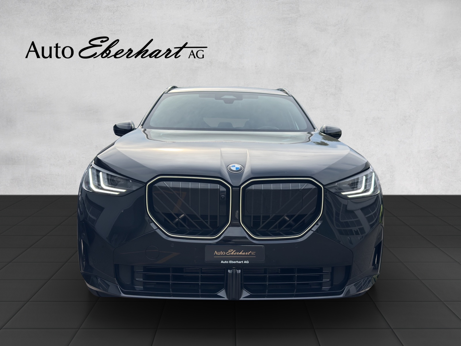 BMW X3 xDrive 48V 20d M Sport Pro-showroom-element-3